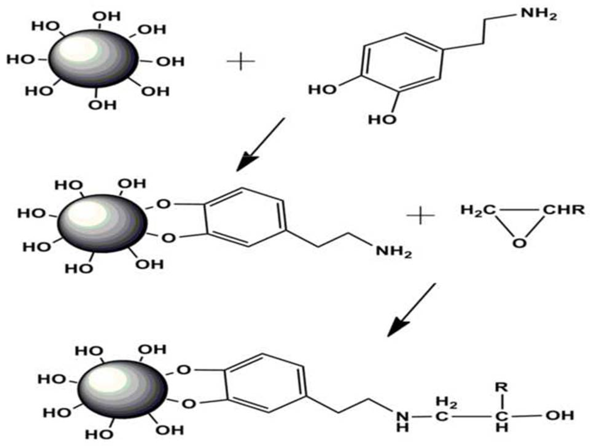 Coatings 08 00209 g001