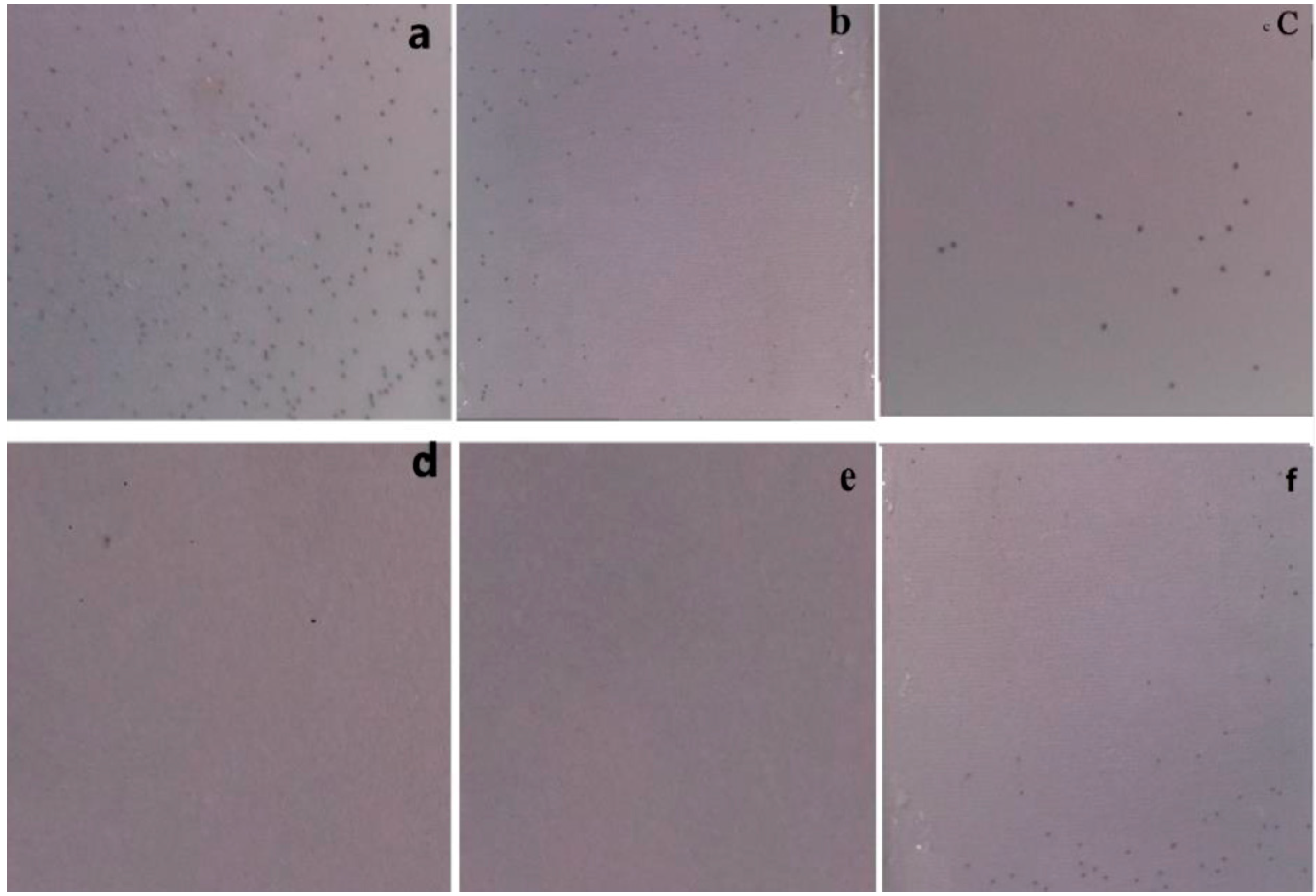 Coatings 08 00209 g011