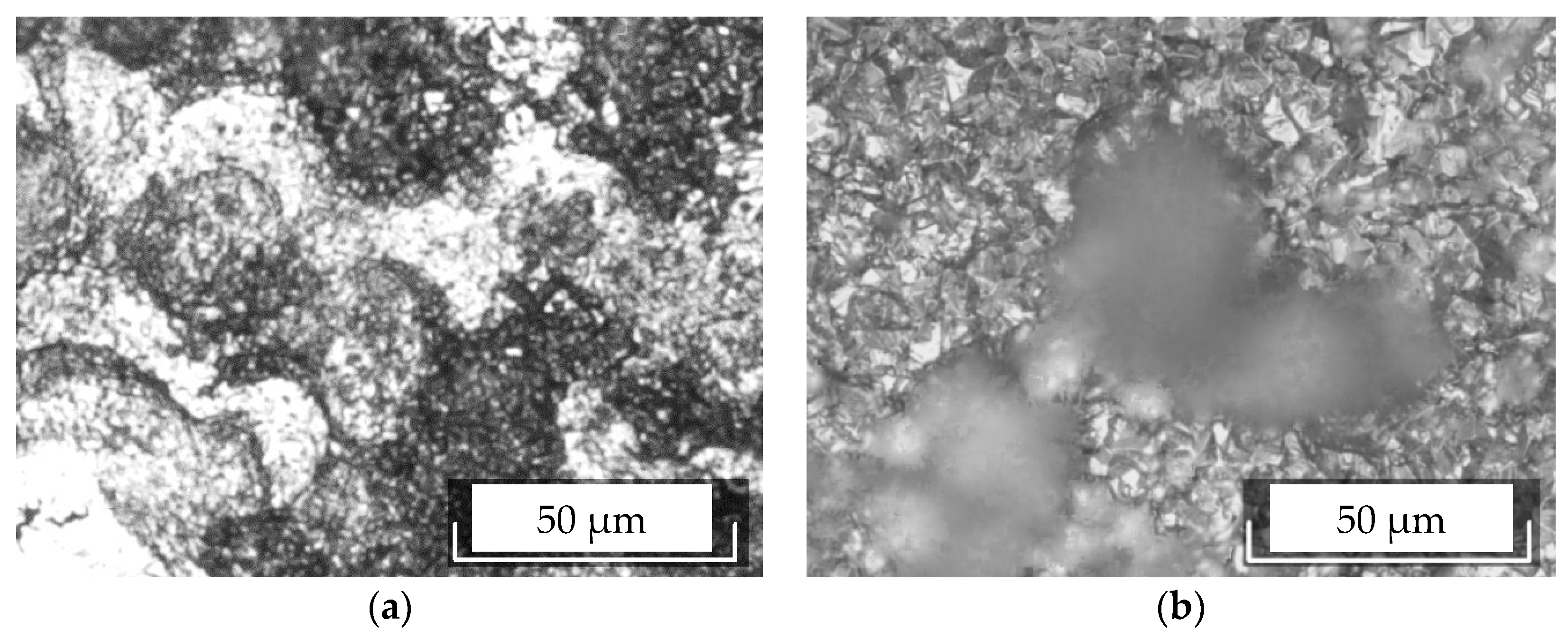Coatings 08 00213 g009