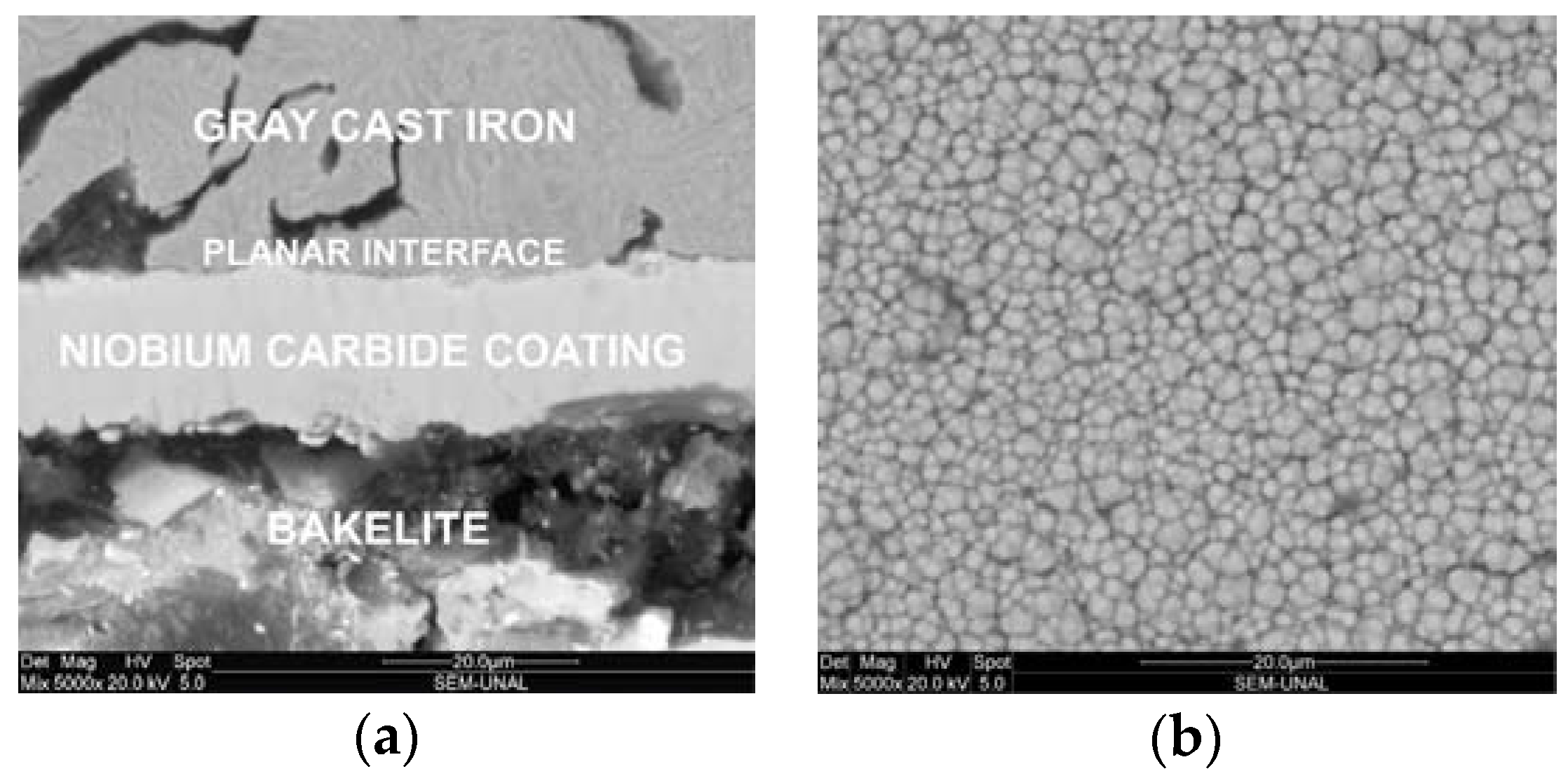 Coatings 08 00216 g001