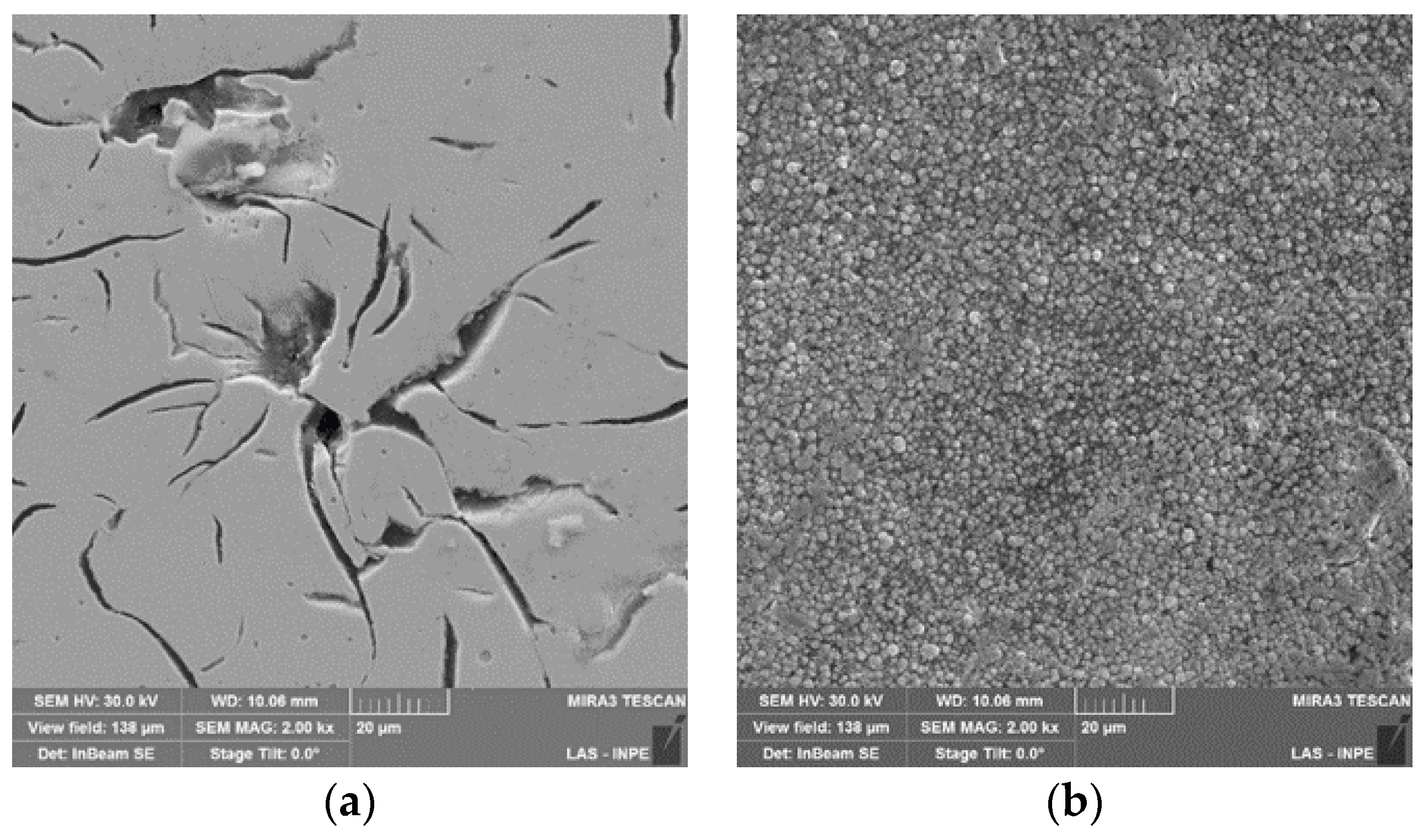 Coatings 08 00216 g006