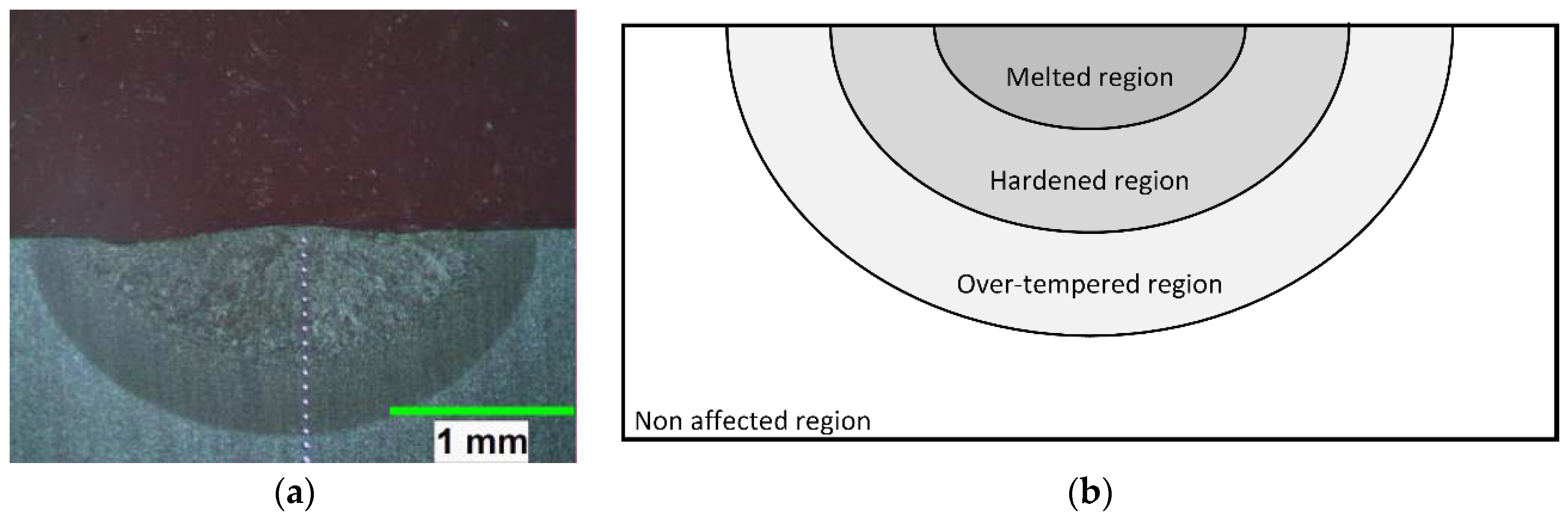 Coatings 08 00226 g001