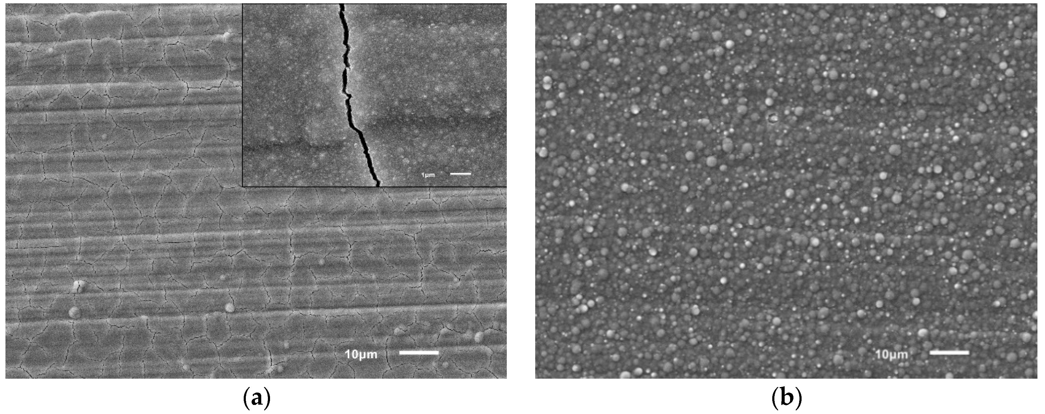 Coatings 08 00233 g004 Coatings 08 00233 g004