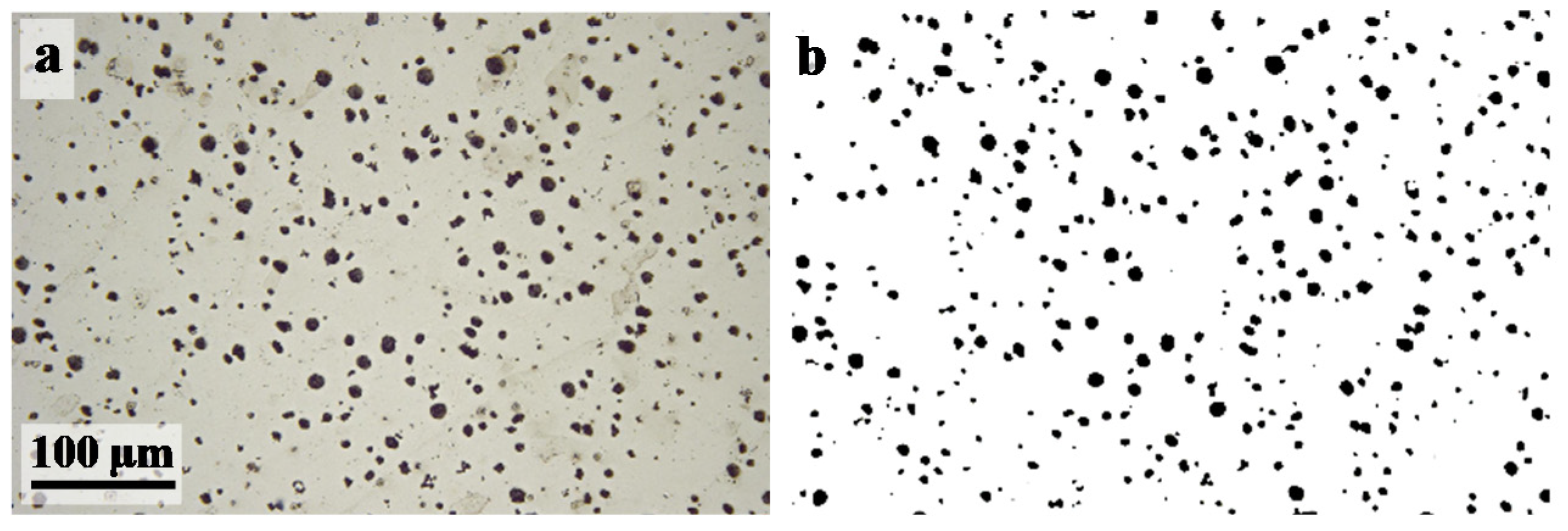 Coatings 08 00239 g001