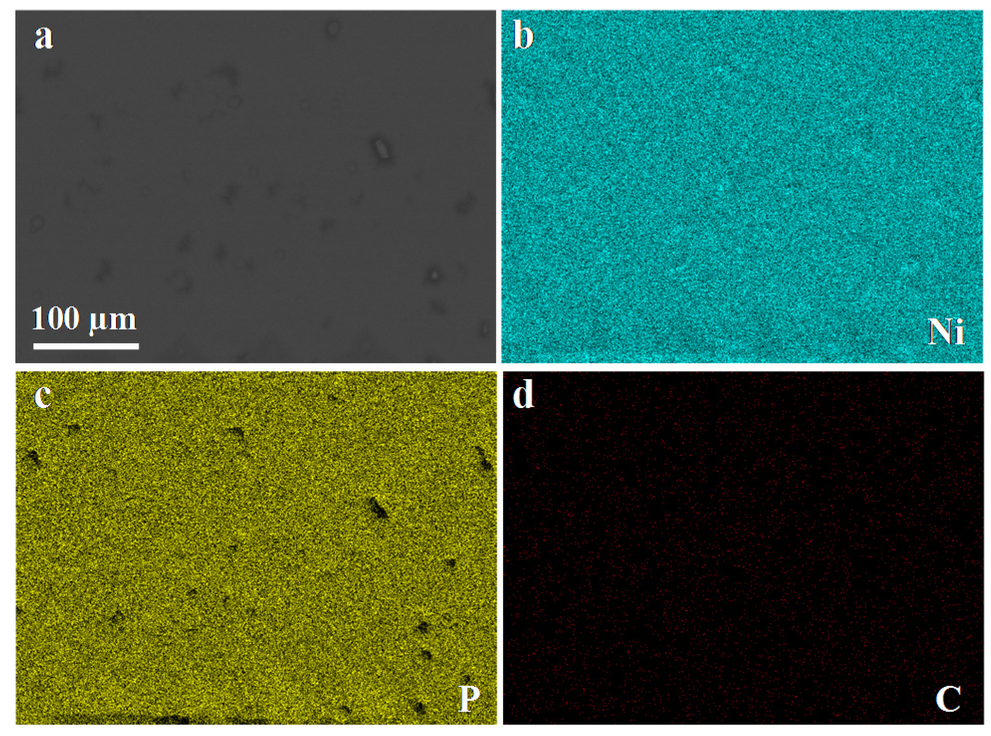 Coatings 08 00239 g006