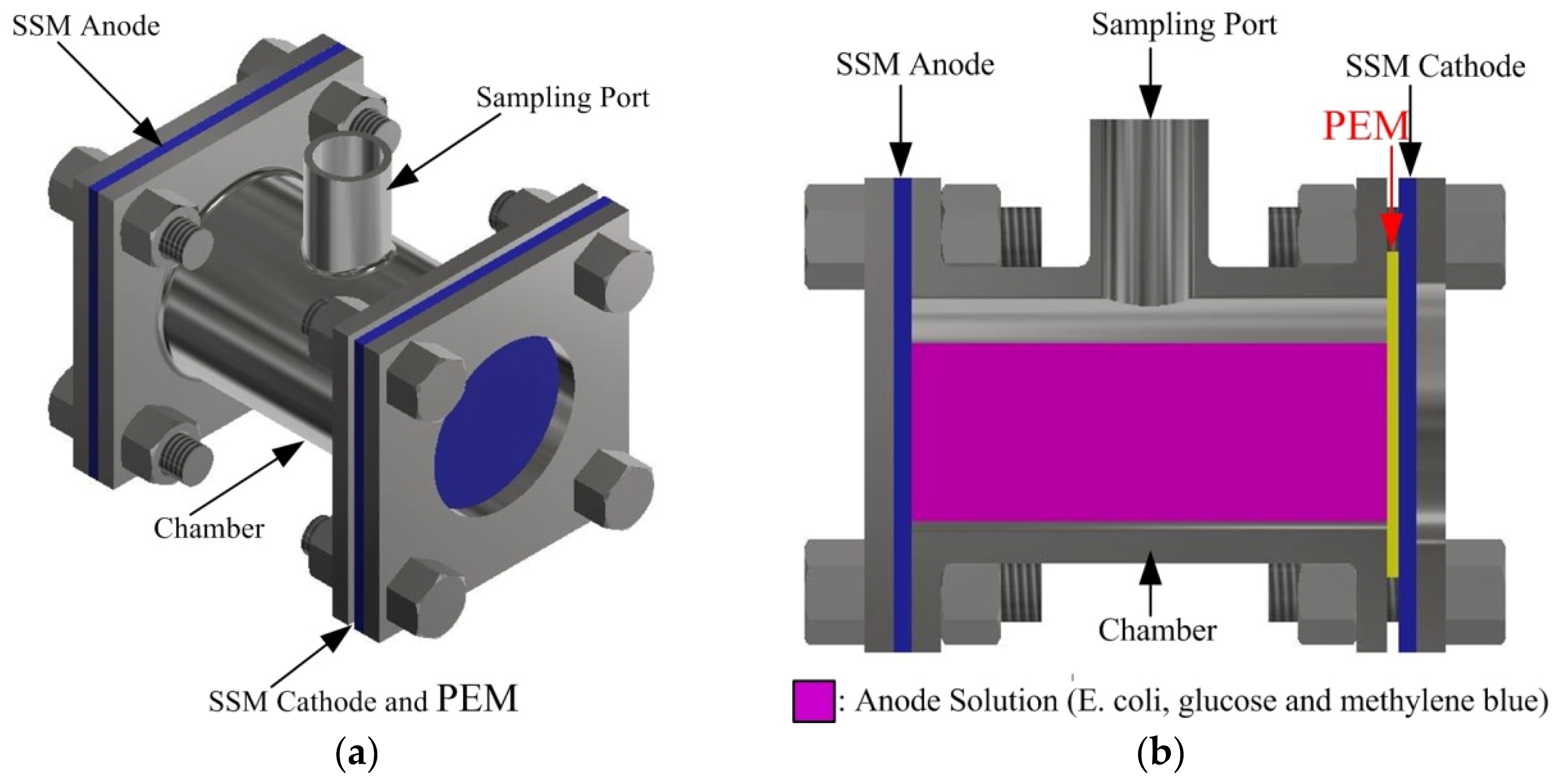 Coatings 08 00243 g001