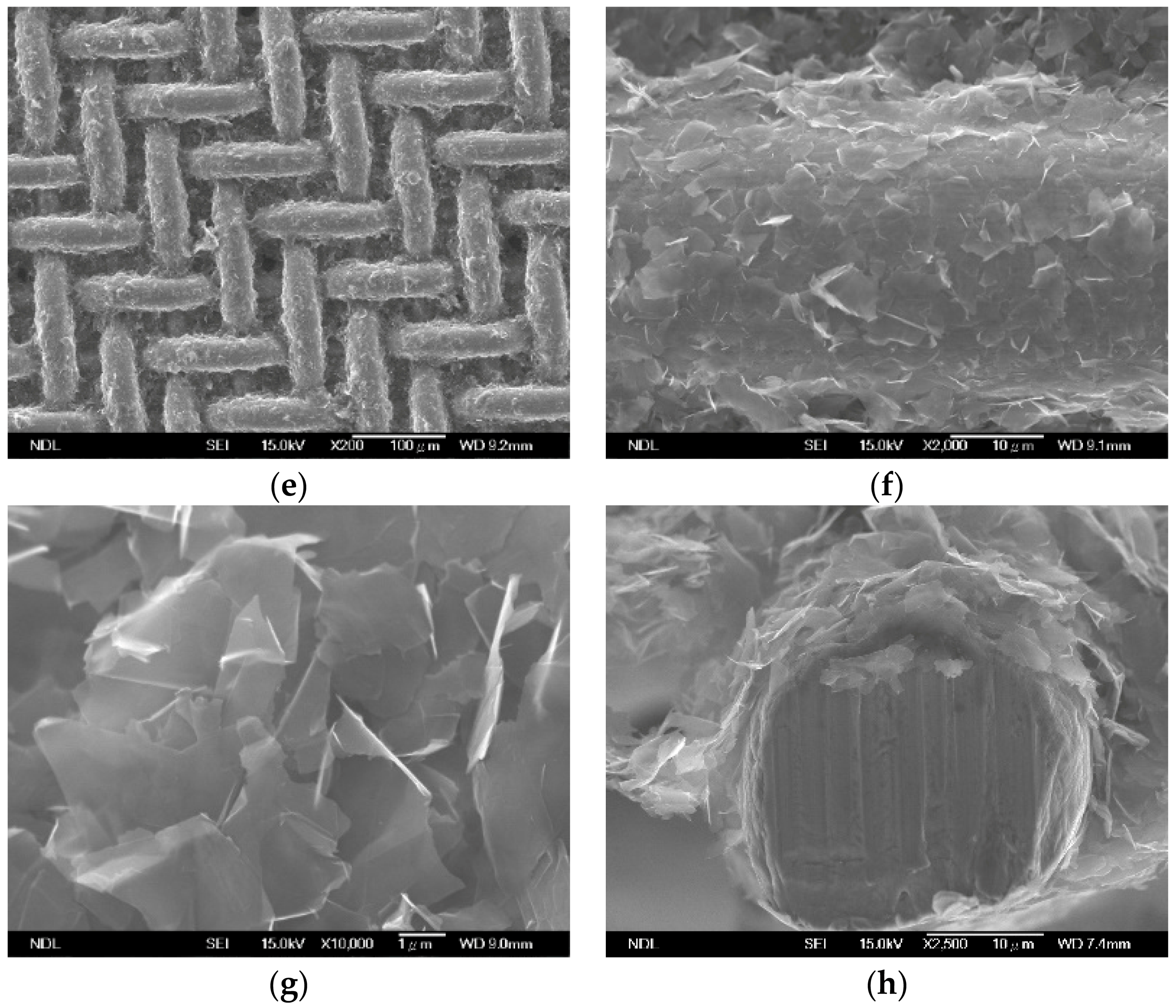 Coatings 08 00243 g002b