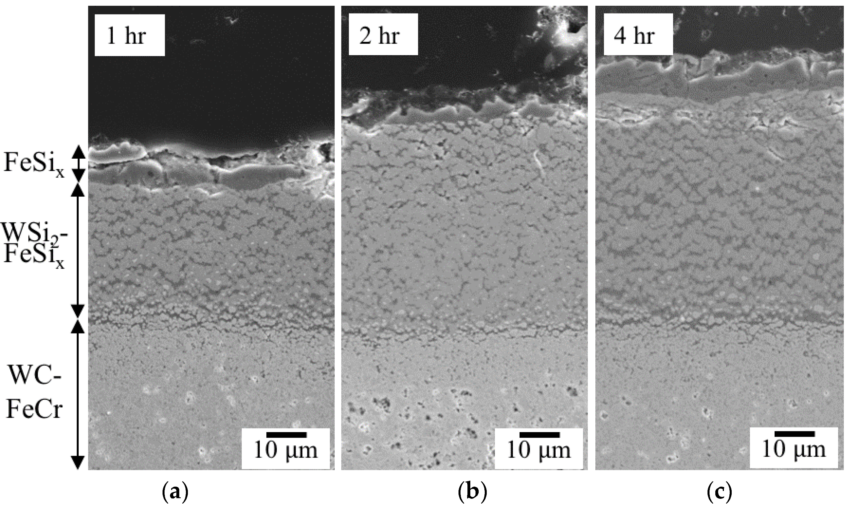 Coatings 08 00247 g003