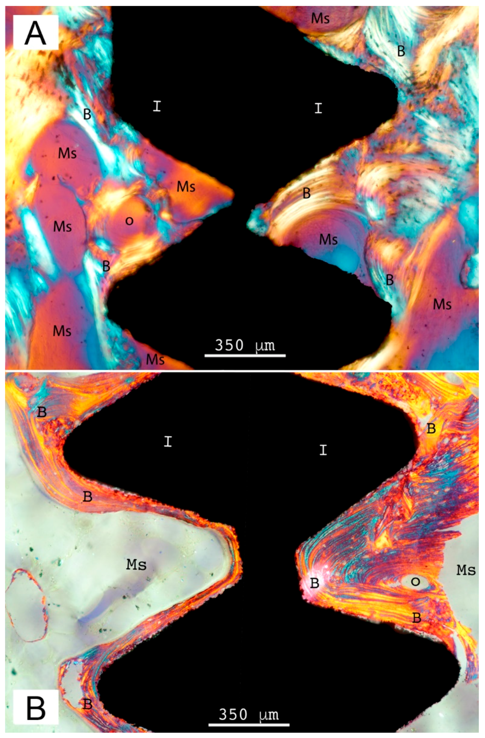 Coatings 08 00252 g008