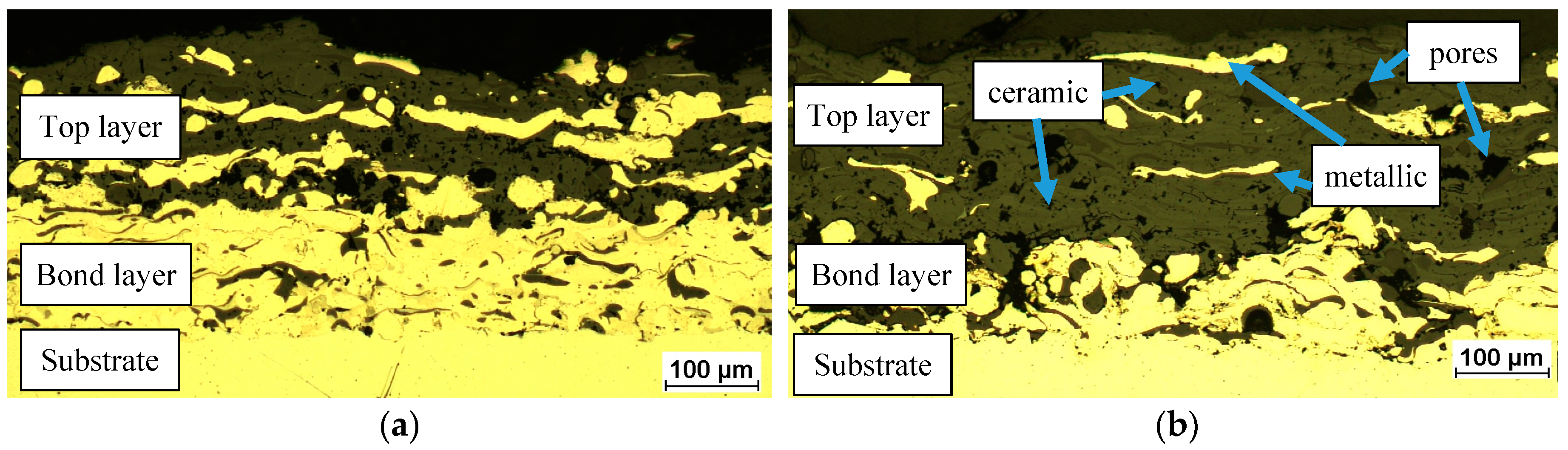 Coatings 08 00254 g002