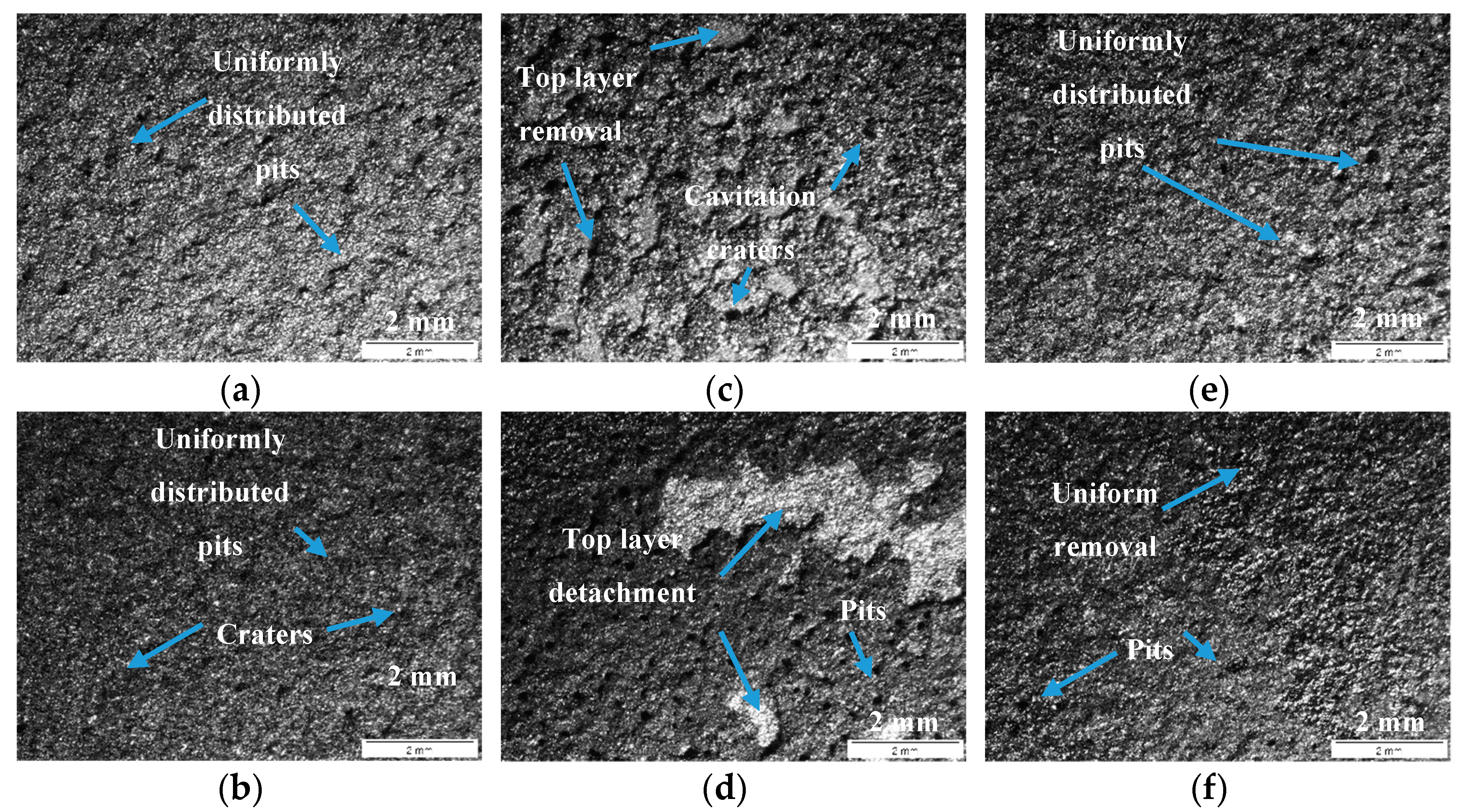 Coatings 08 00254 g013