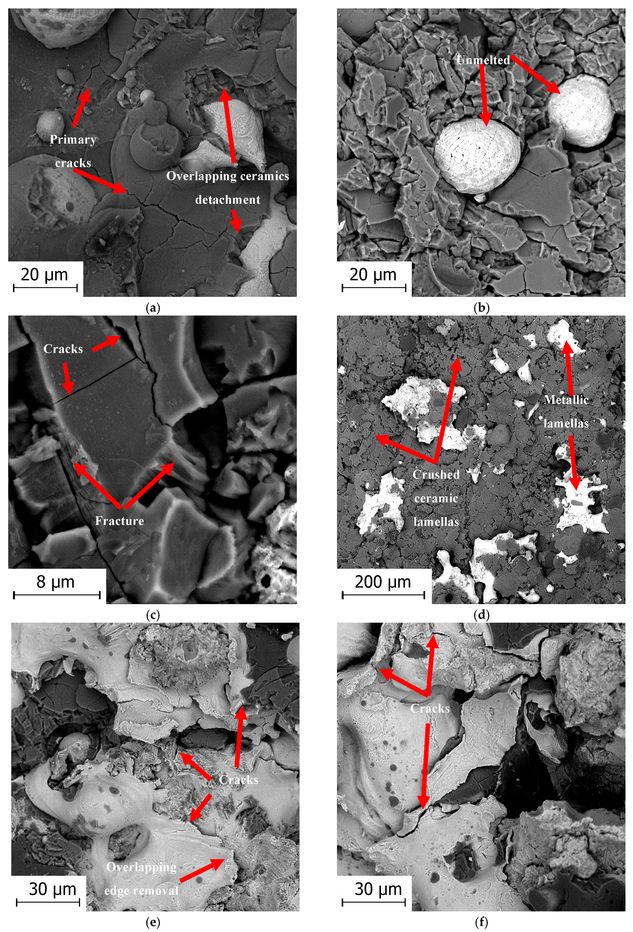 Coatings 08 00254 g015a