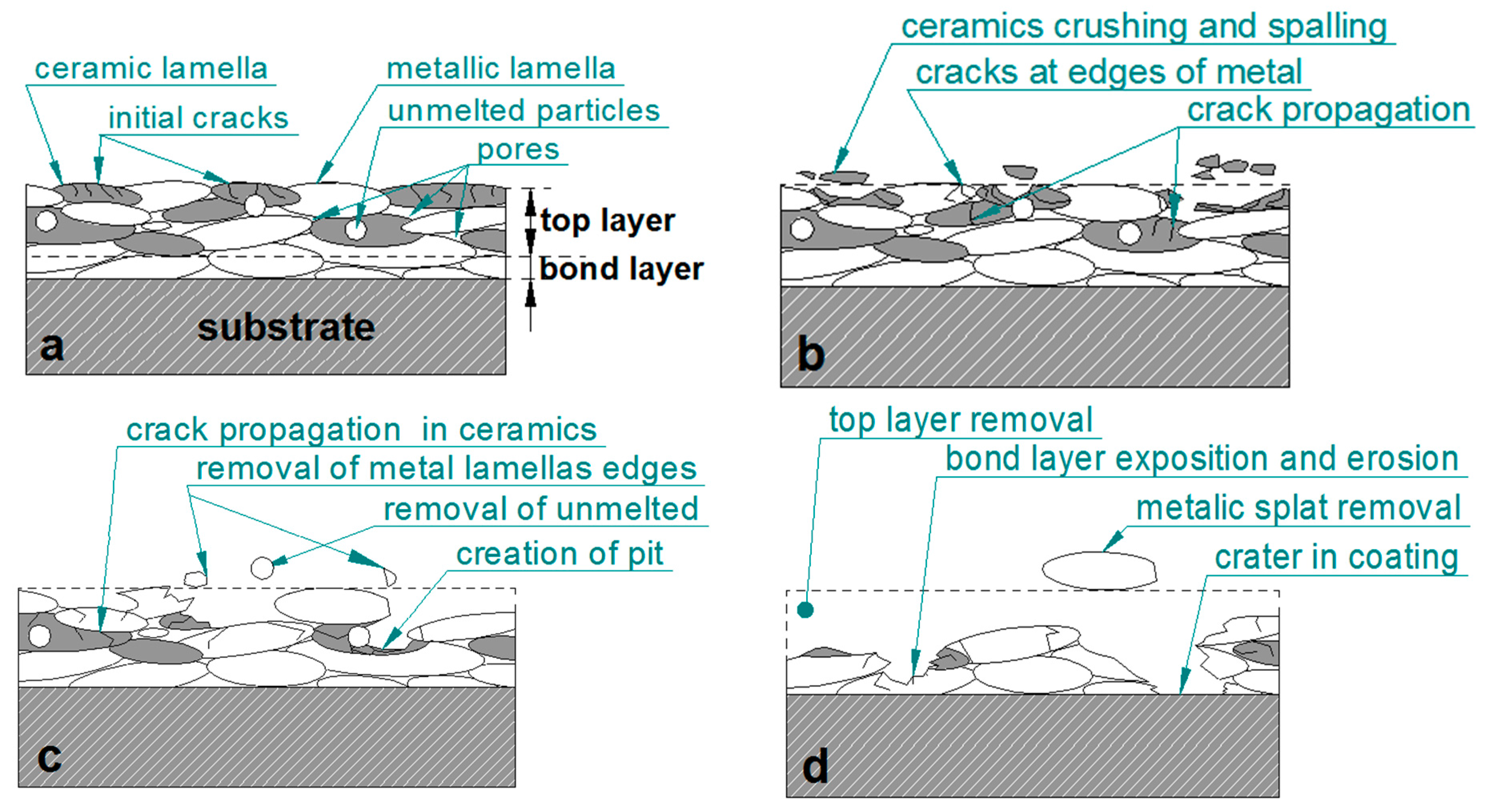 Coatings 08 00254 g016