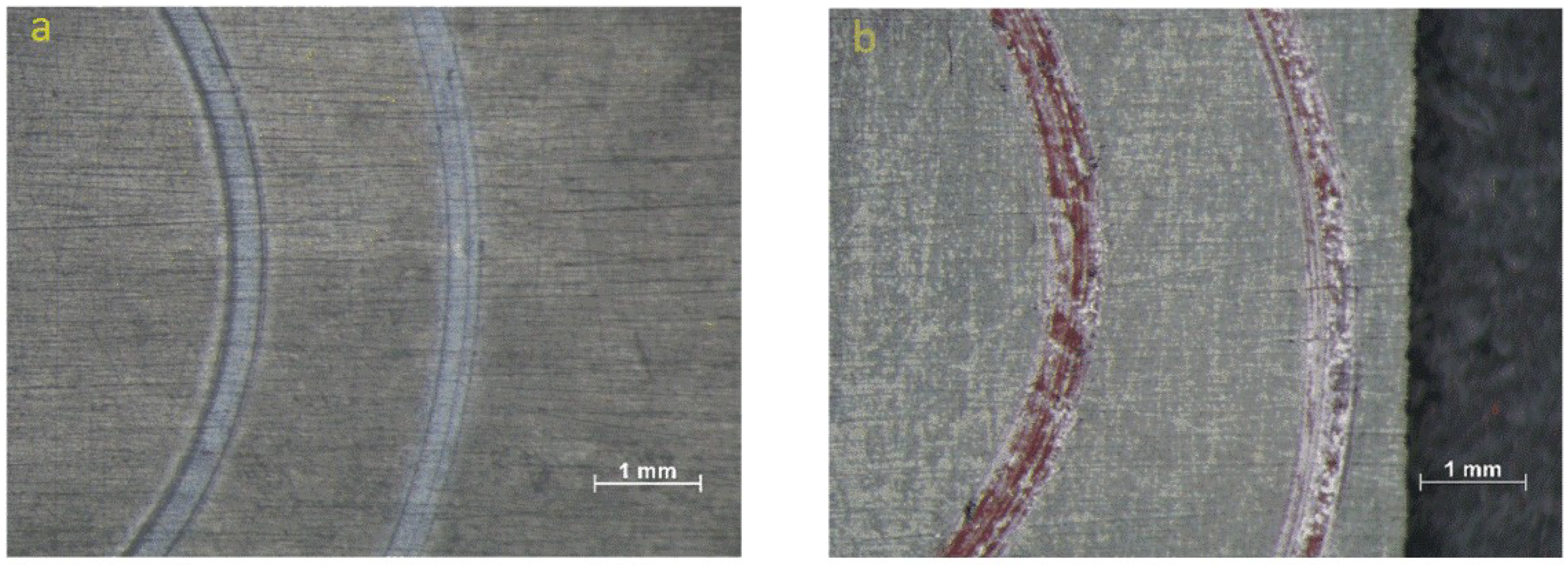Coatings 08 00267 g007