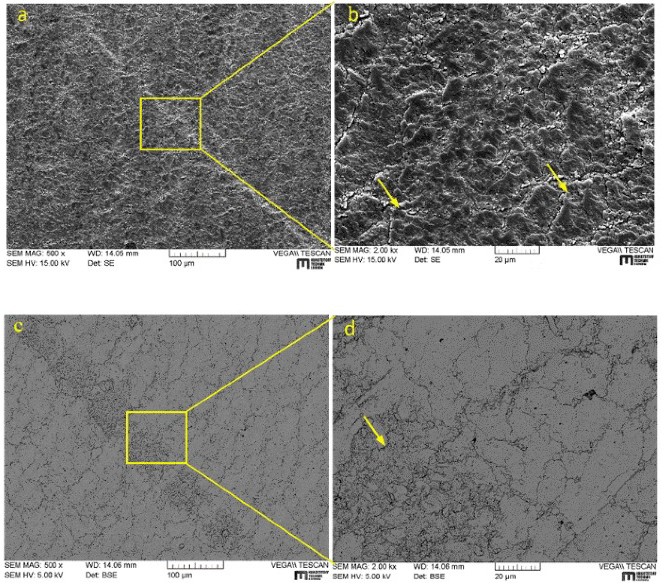 Coatings 08 00267 g010a
