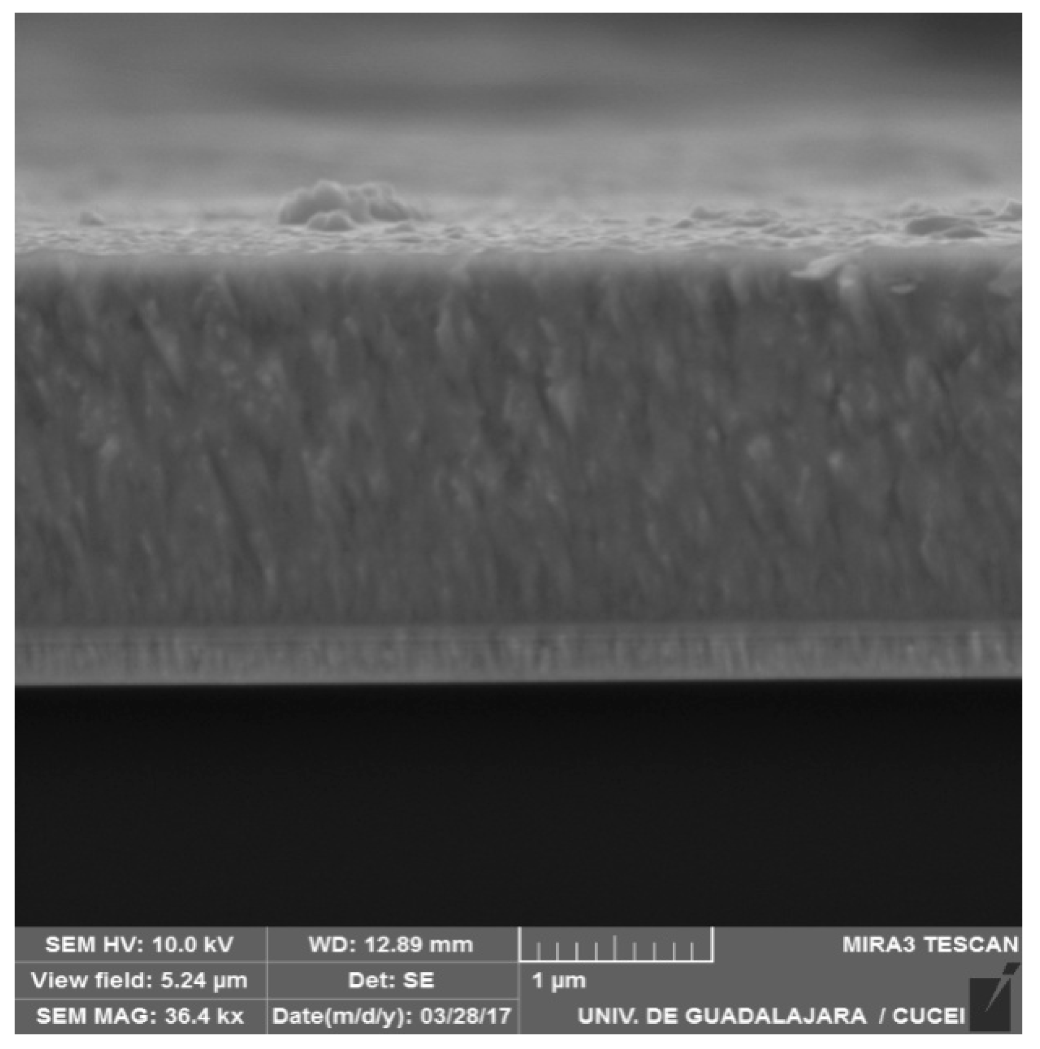 Coatings 08 00295 g001