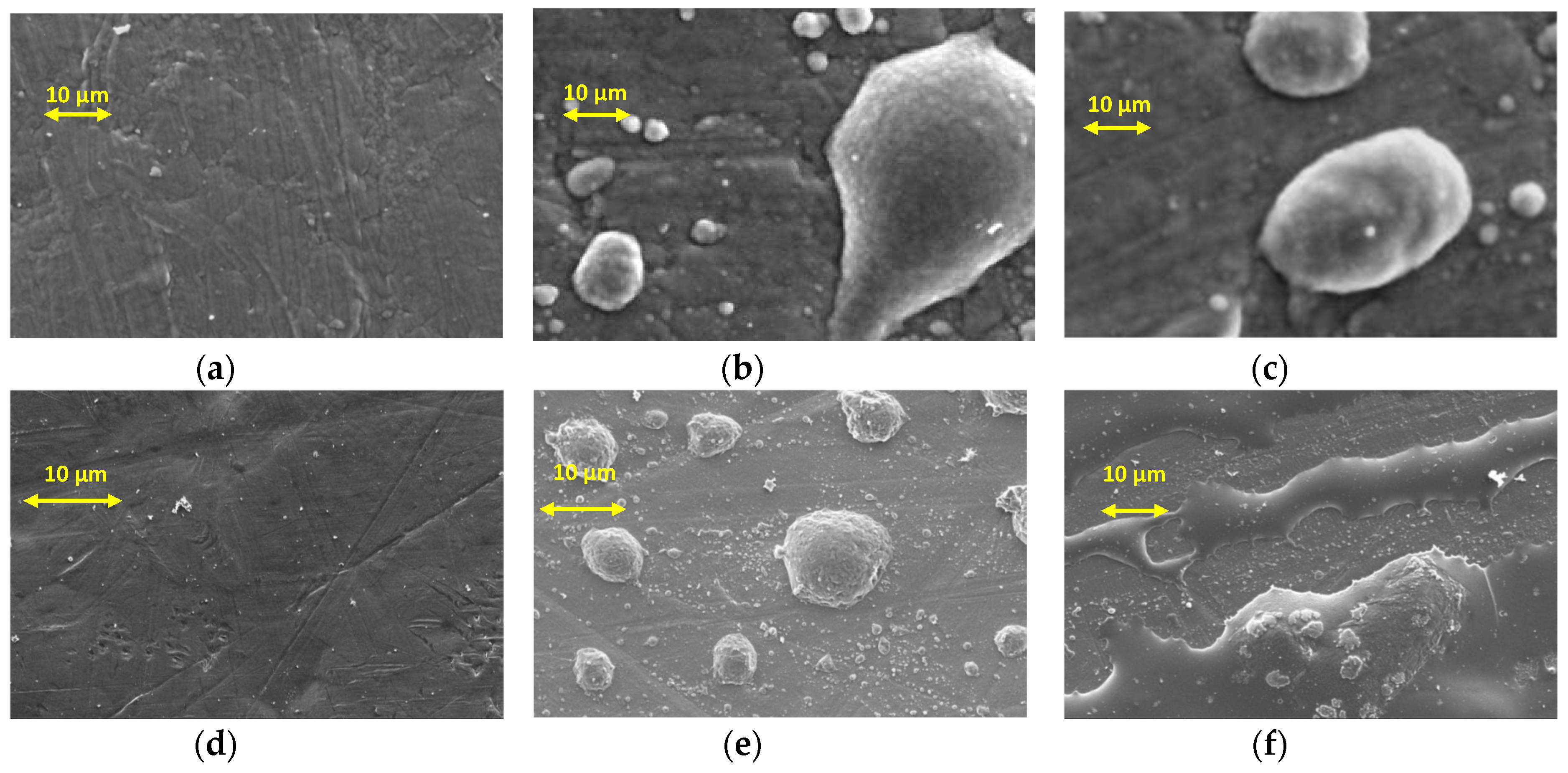 Coatings 08 00301 g008 Coatings 08 00301 g008