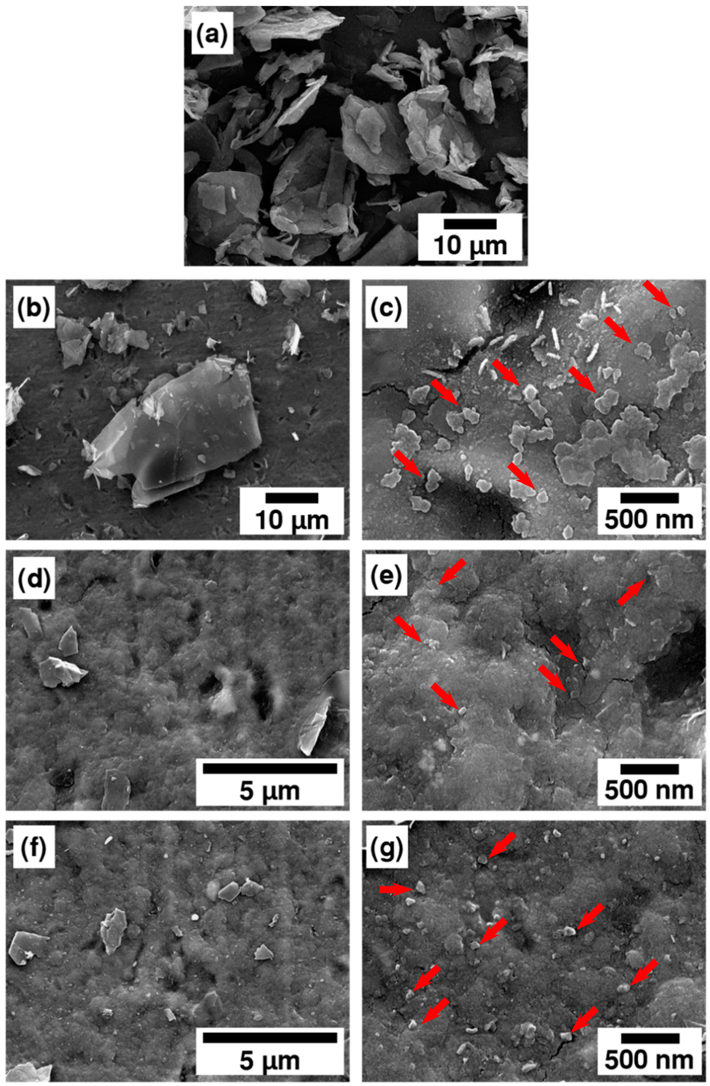 Coatings 08 00302 g004