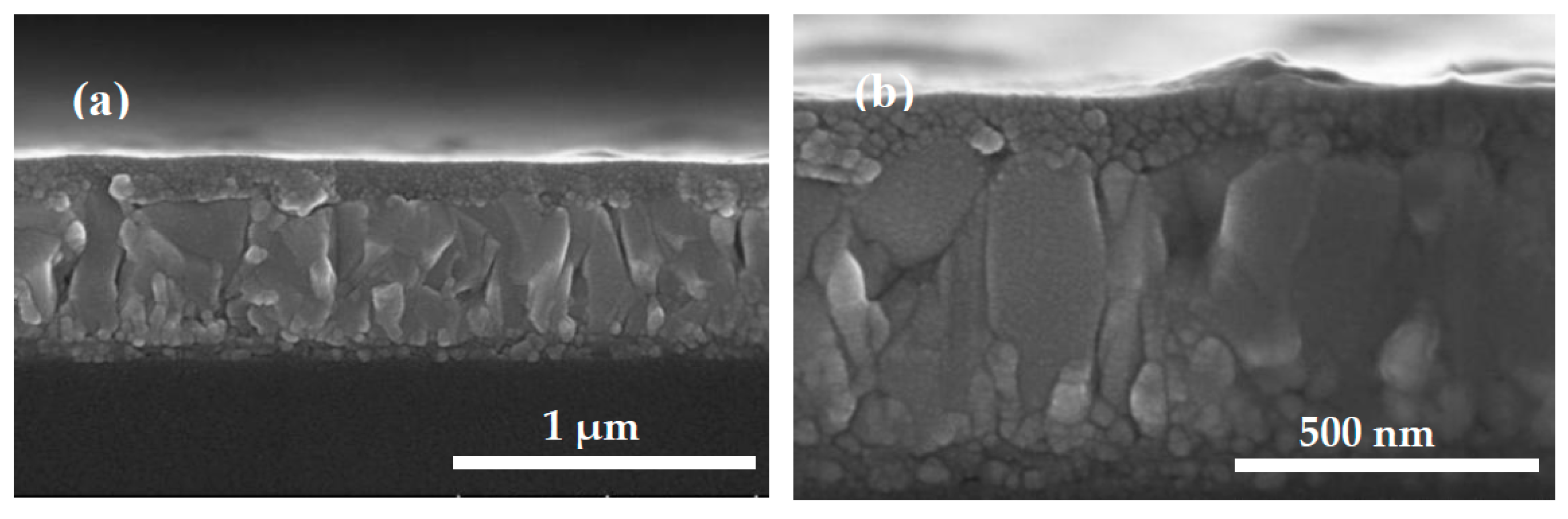 Coatings 08 00314 g004