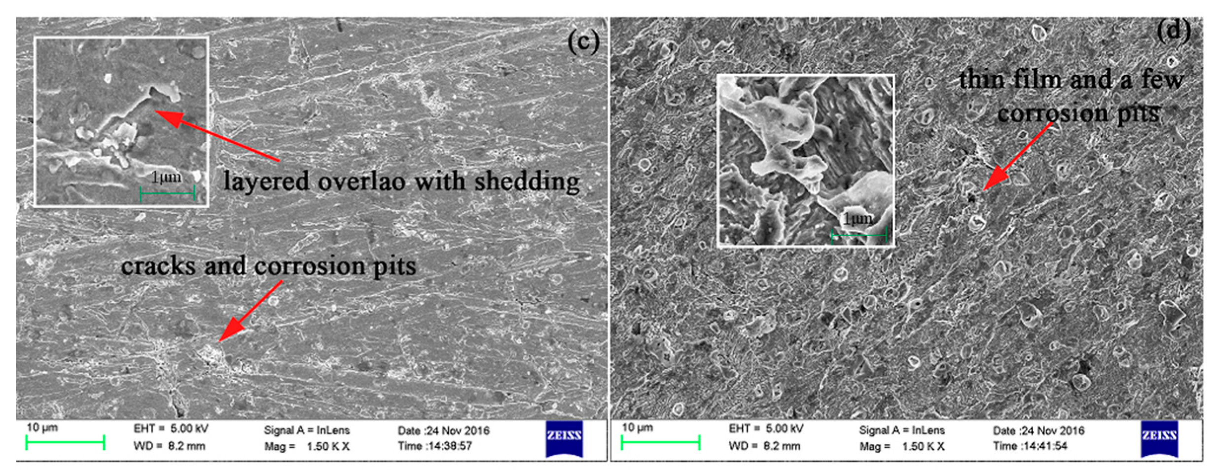 Coatings 08 00315 g004b