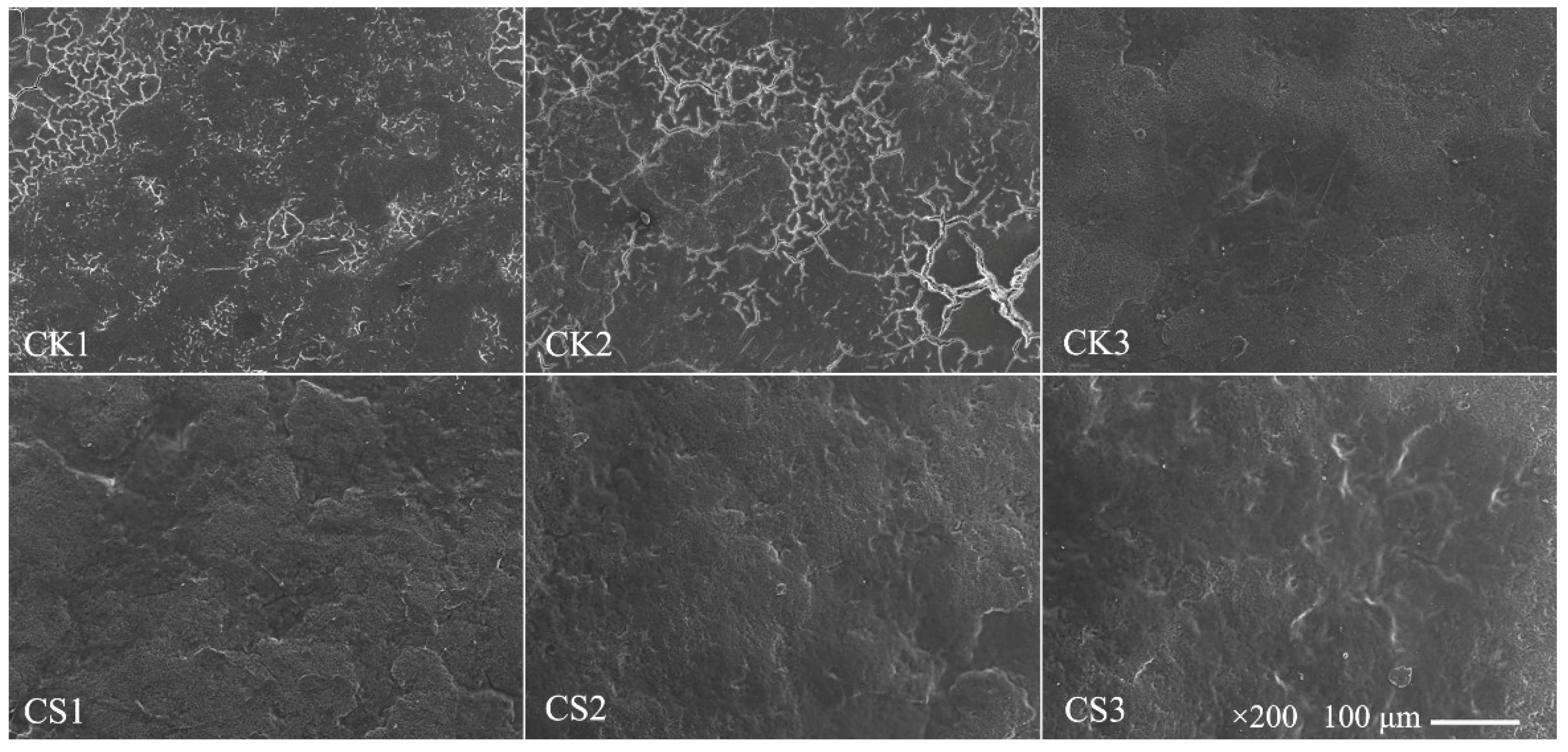 Coatings 08 00317 g003