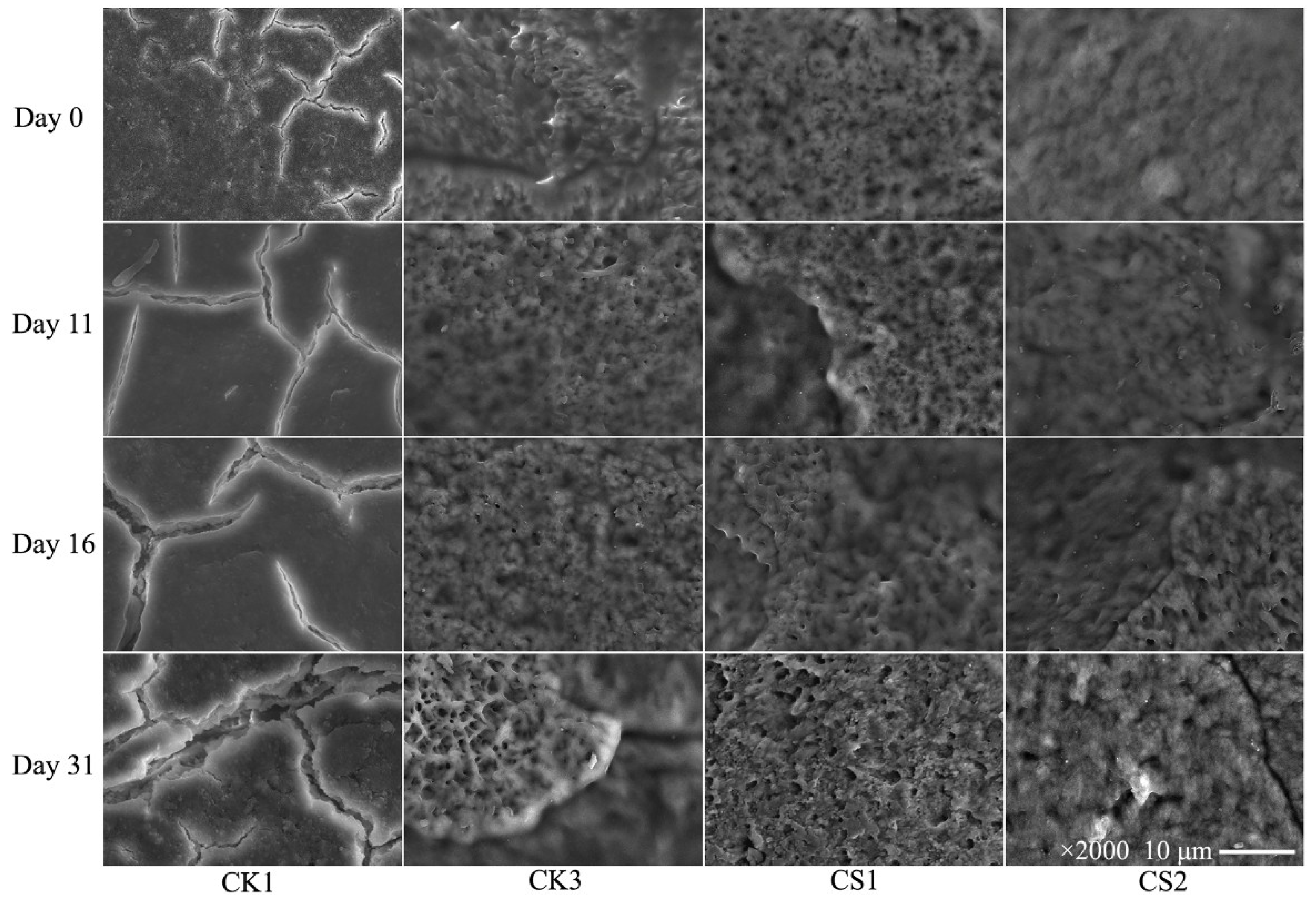 Coatings 08 00317 g005