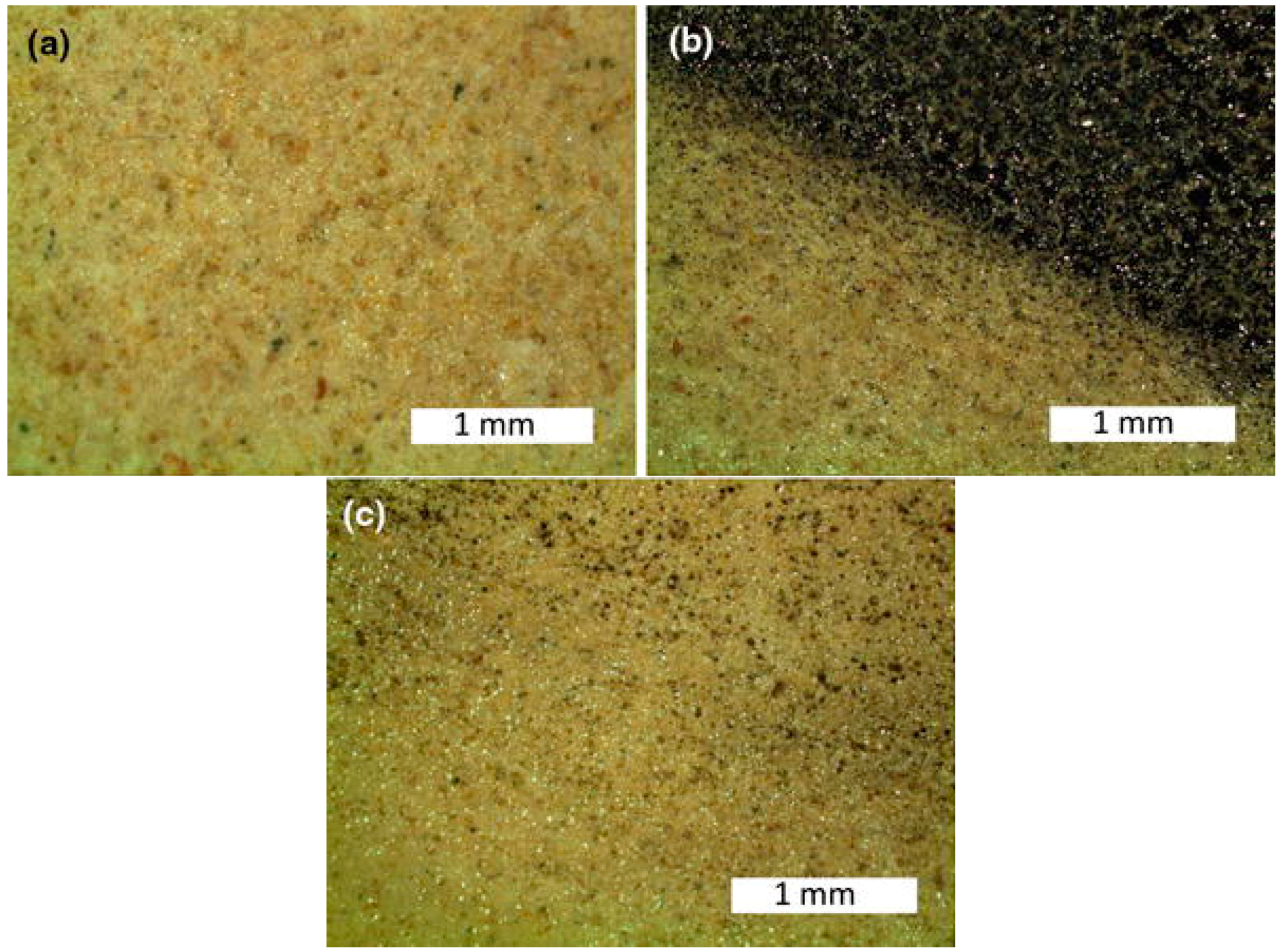 Coatings 08 00319 g003