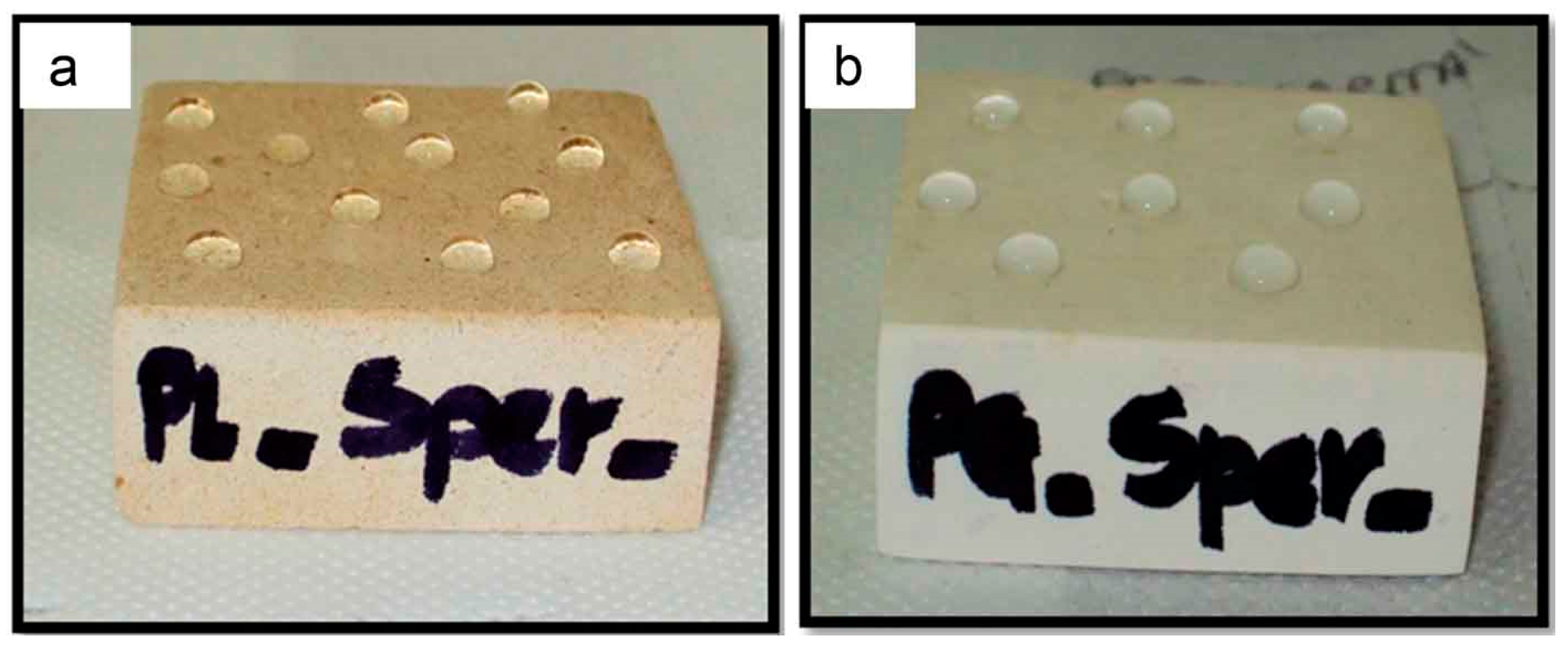 Coatings 08 00319 g005