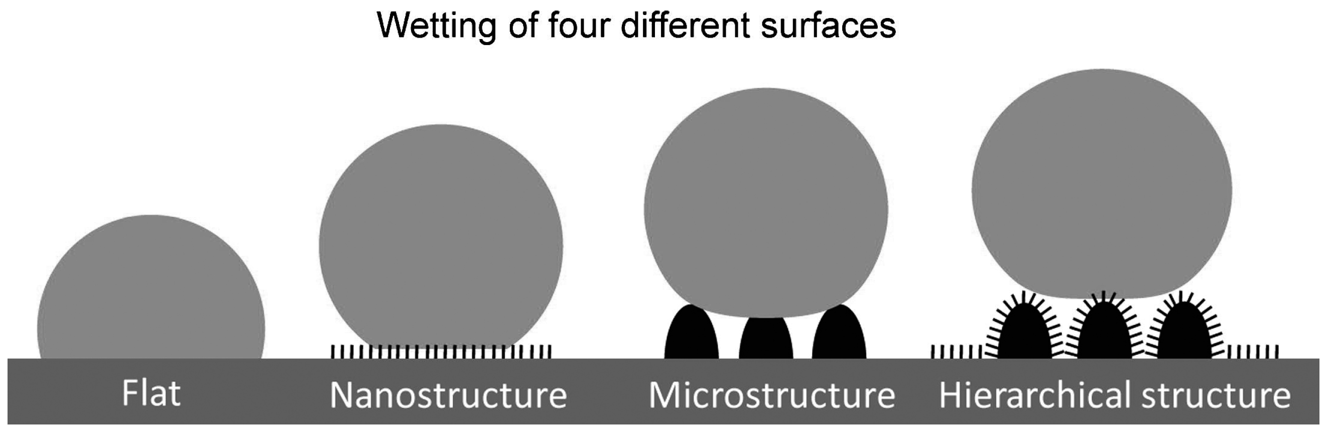Coatings 08 00319 g006