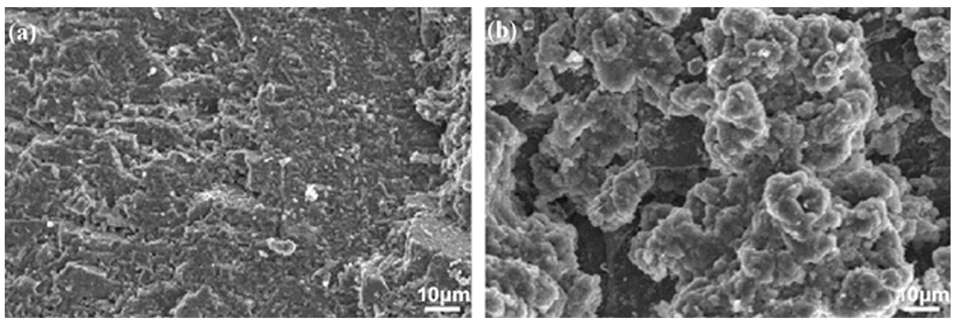 Coatings 08 00319 g007