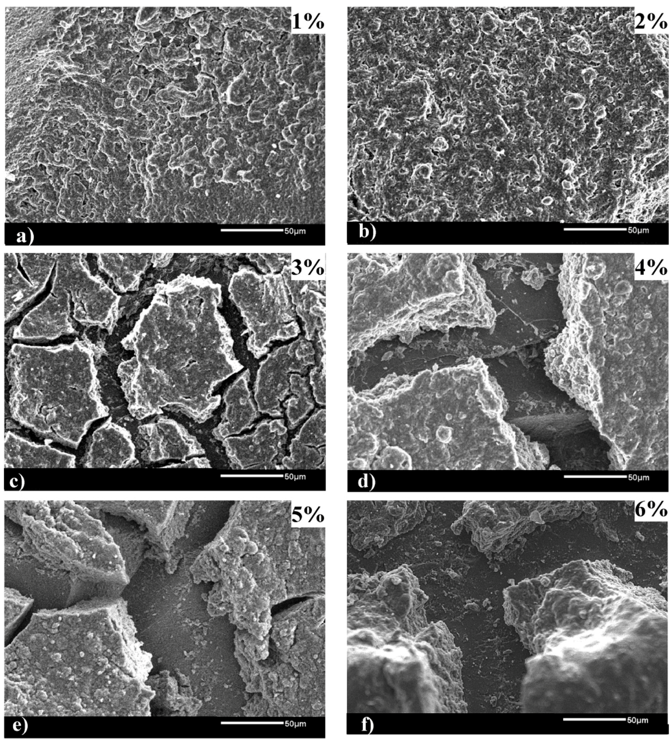 Coatings 08 00319 g008