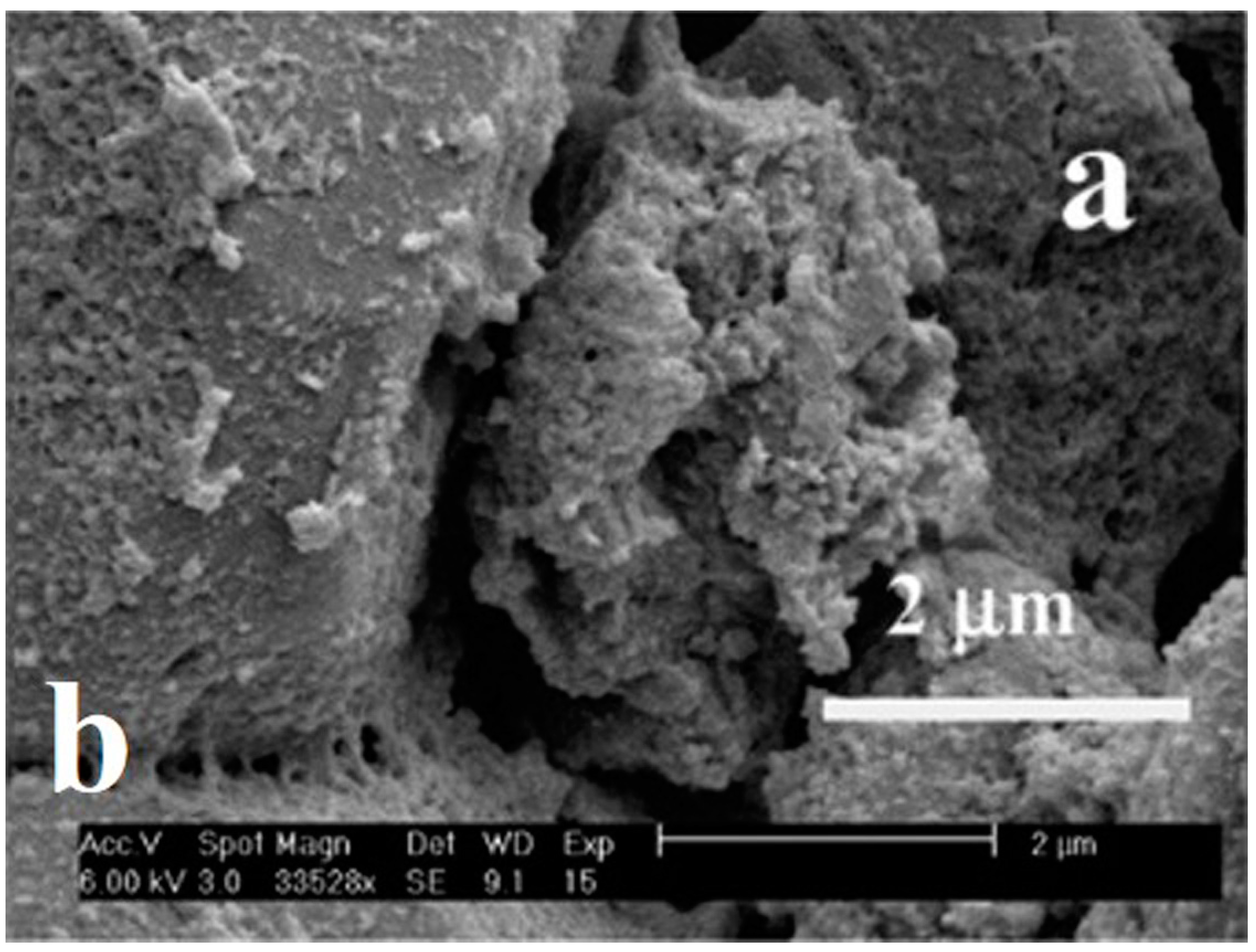 Coatings 08 00319 g009
