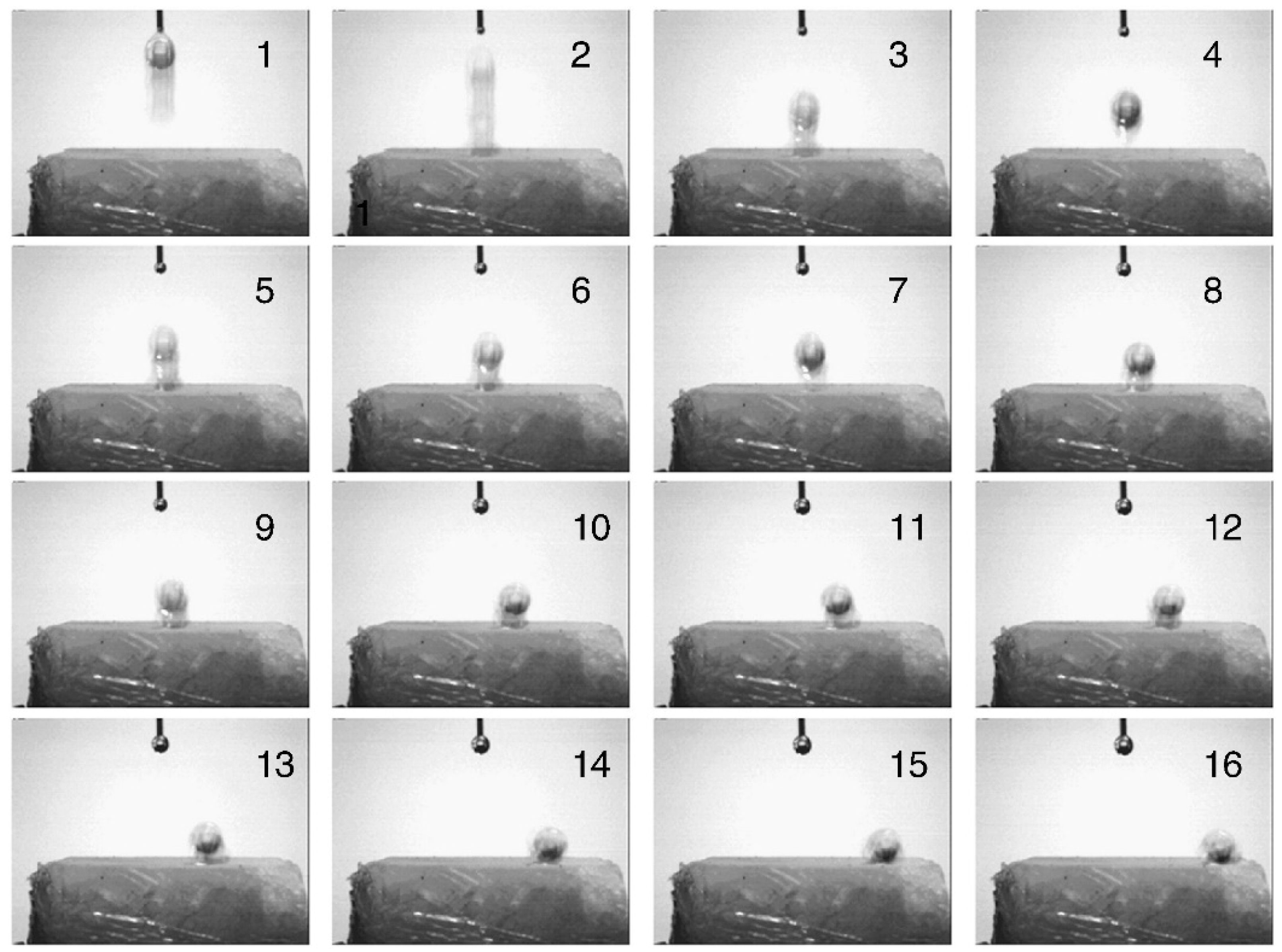 Coatings 08 00319 g010