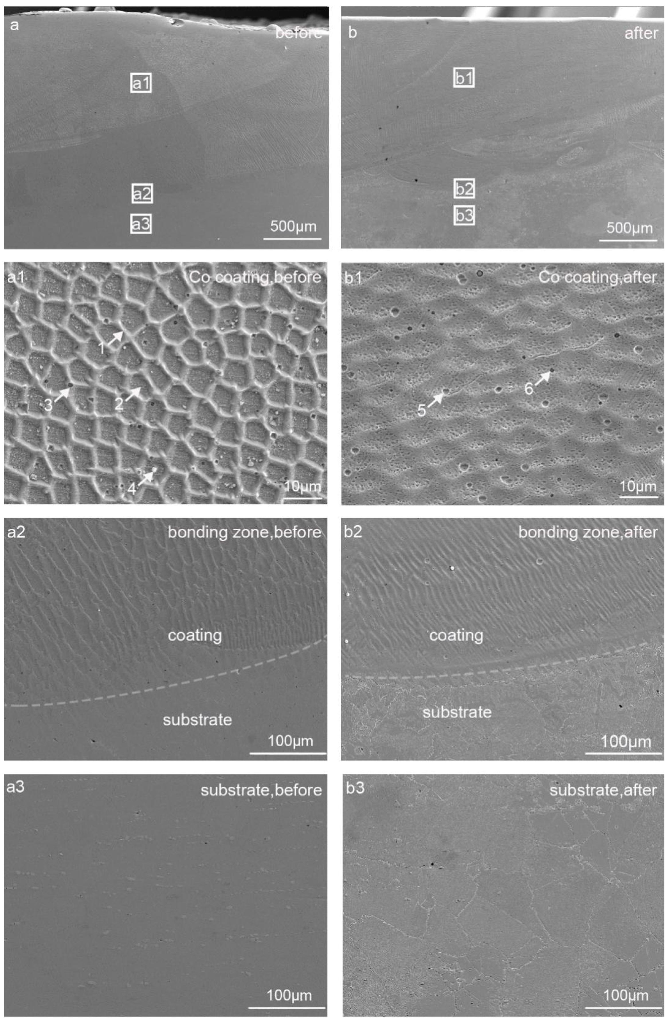 Coatings 08 00322 g007