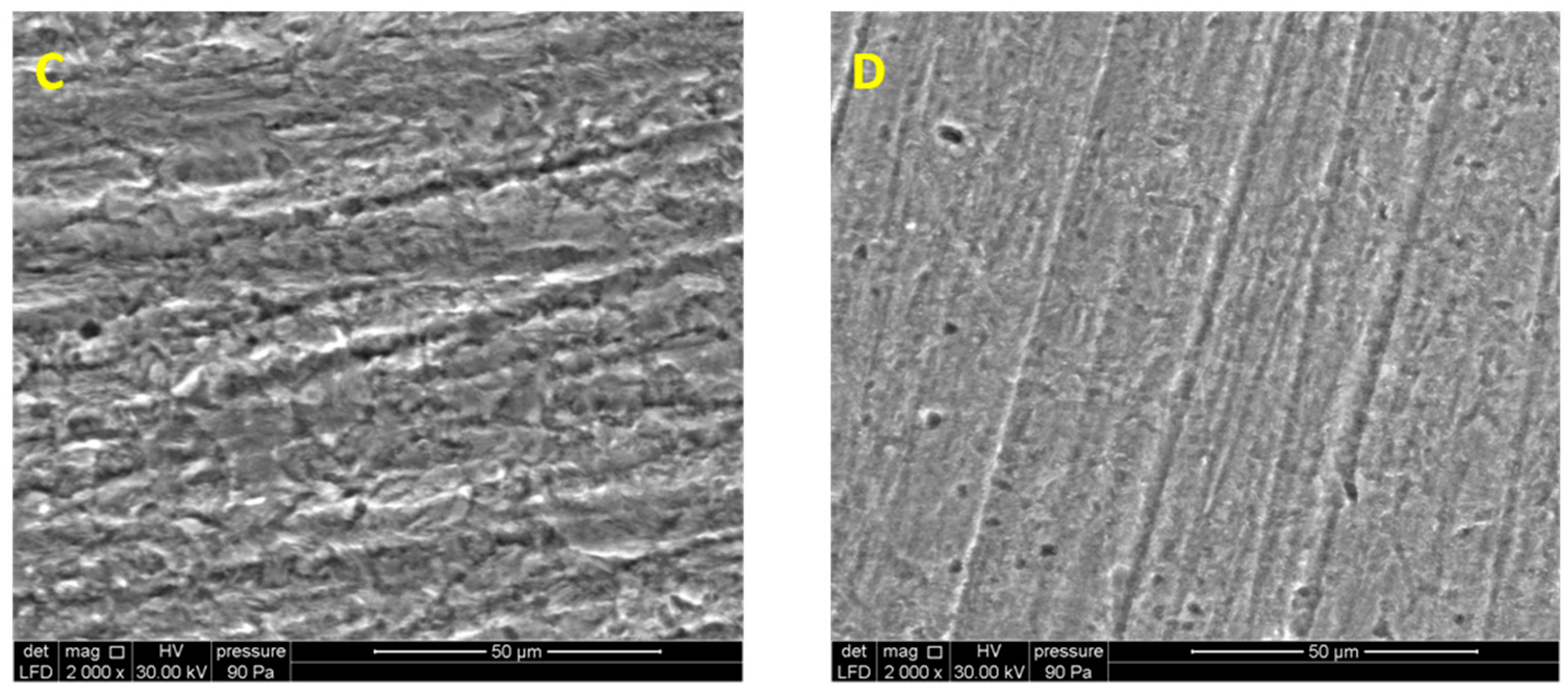 Coatings 08 00330 g007b