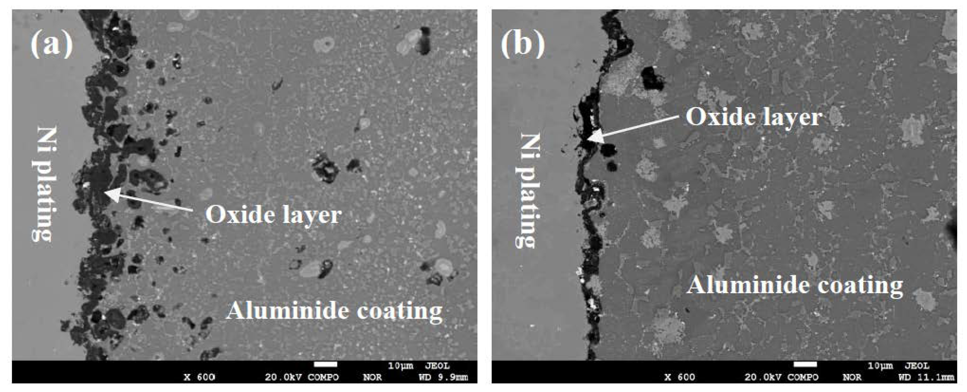 Coatings 08 00332 g005