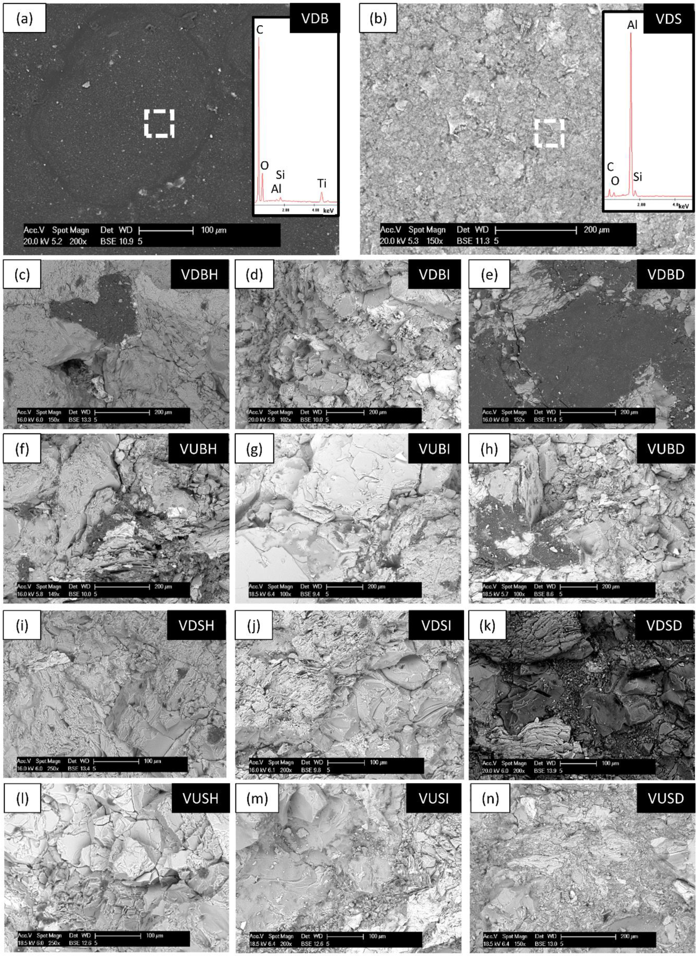 Coatings 08 00335 g004