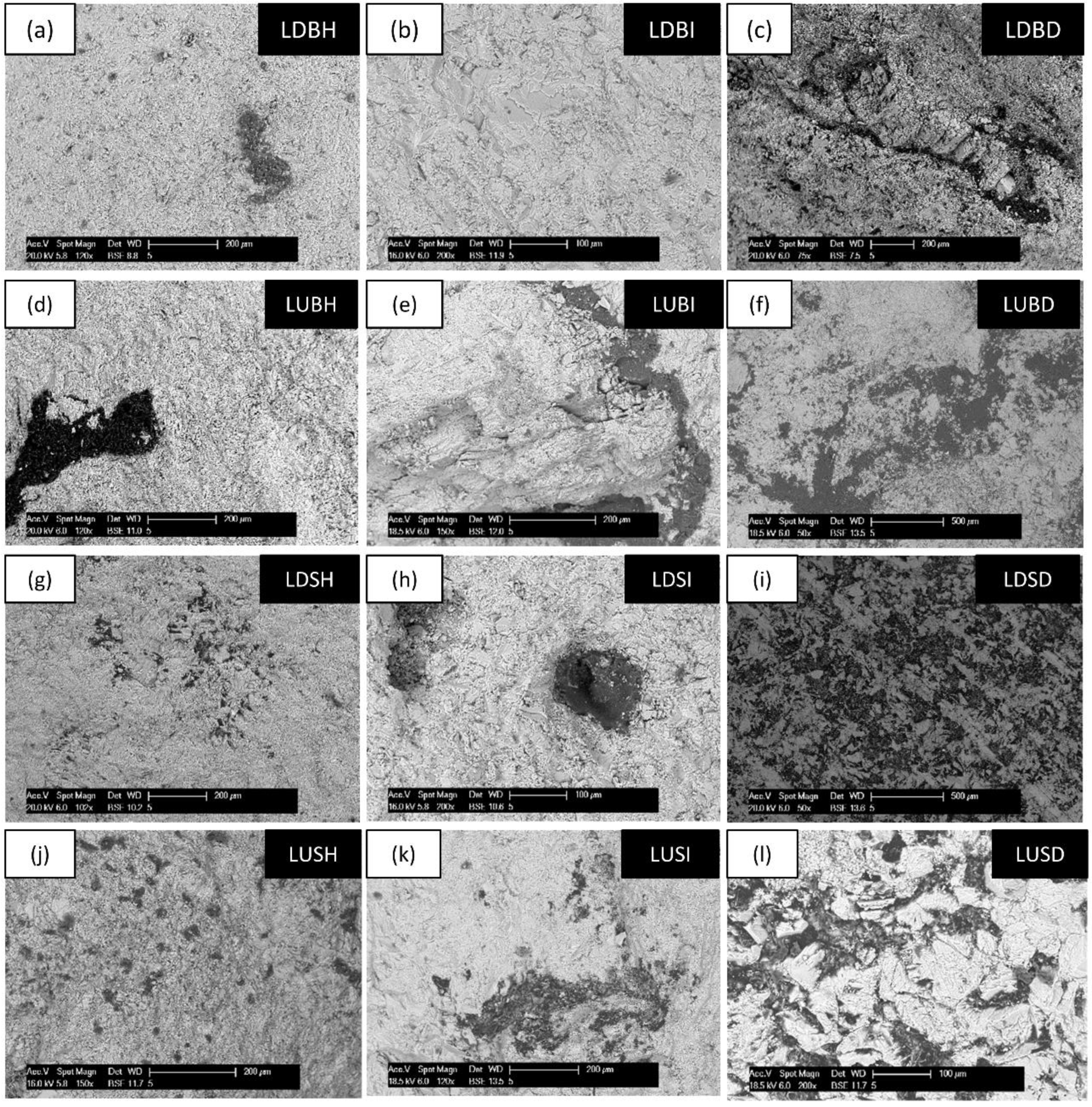 Coatings 08 00335 g005