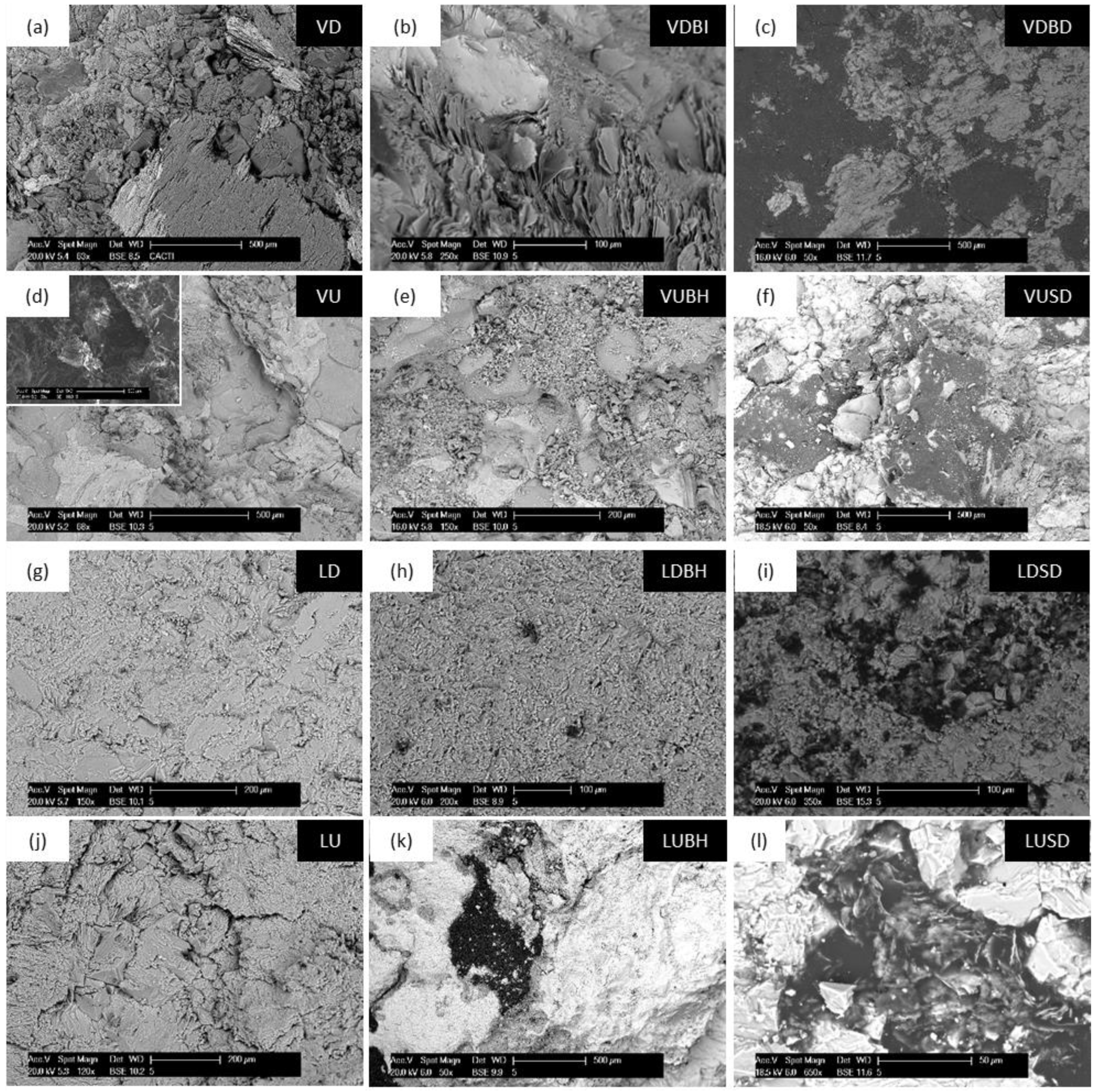 Coatings 08 00335 g008