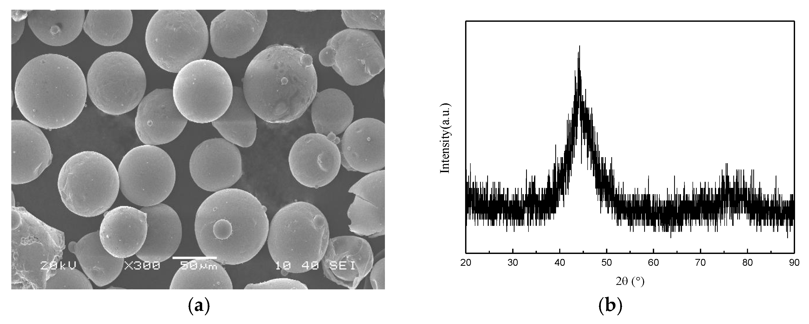 Coatings 08 00336 g001