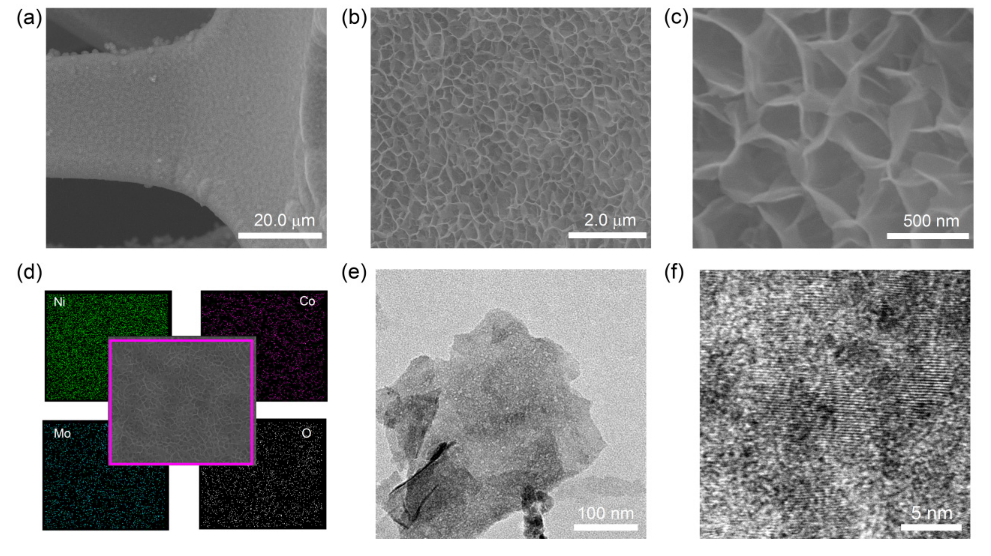 Coatings 08 00340 g002