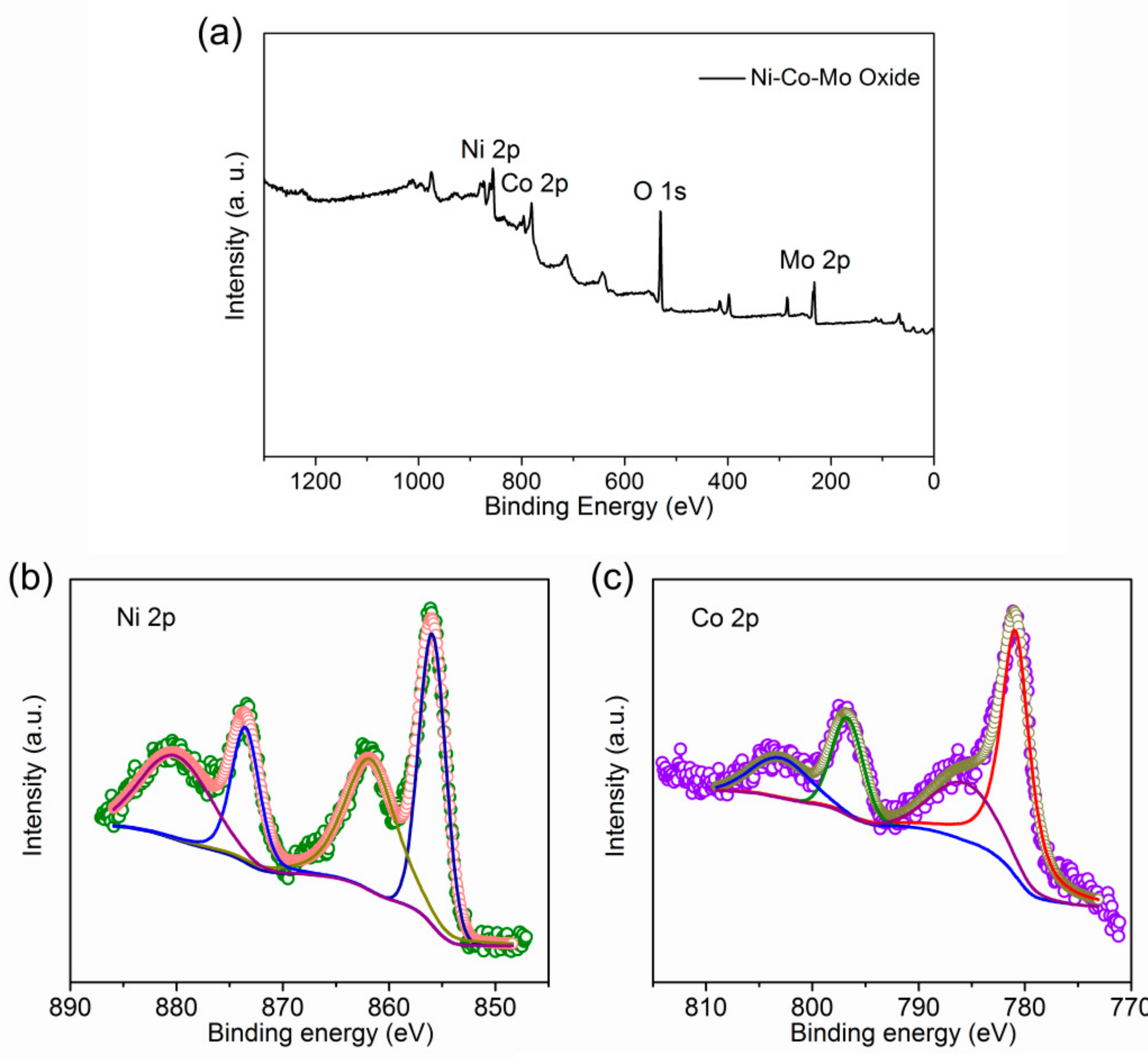 Coatings 08 00340 g003a