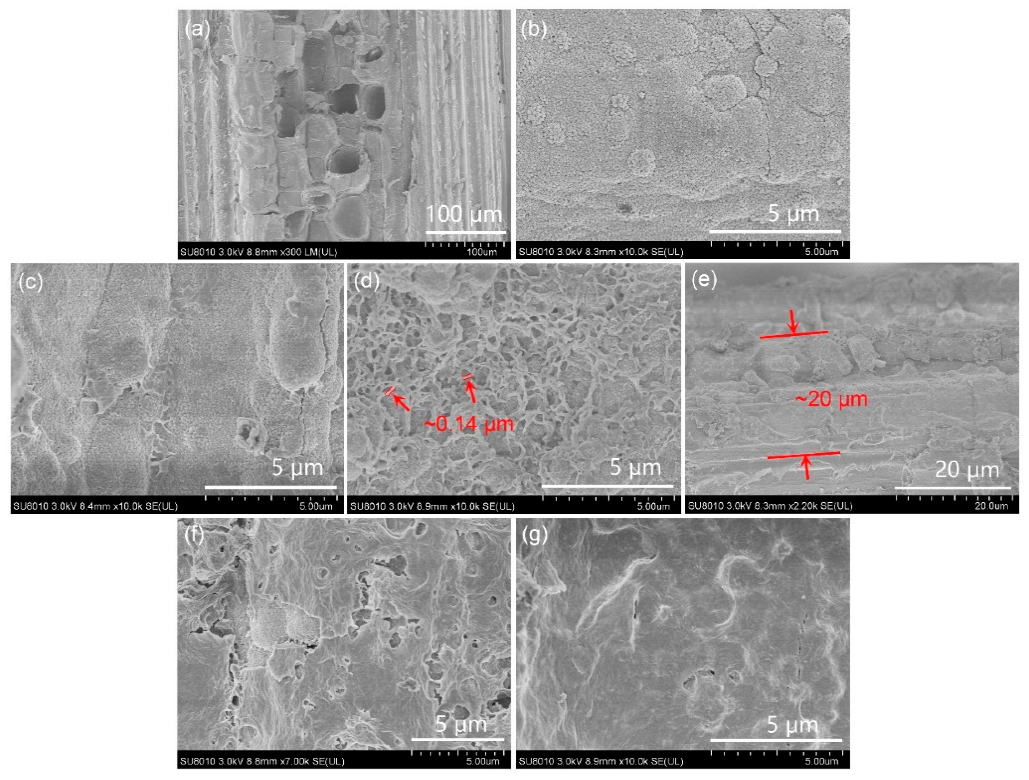 Coatings 08 00341 g001