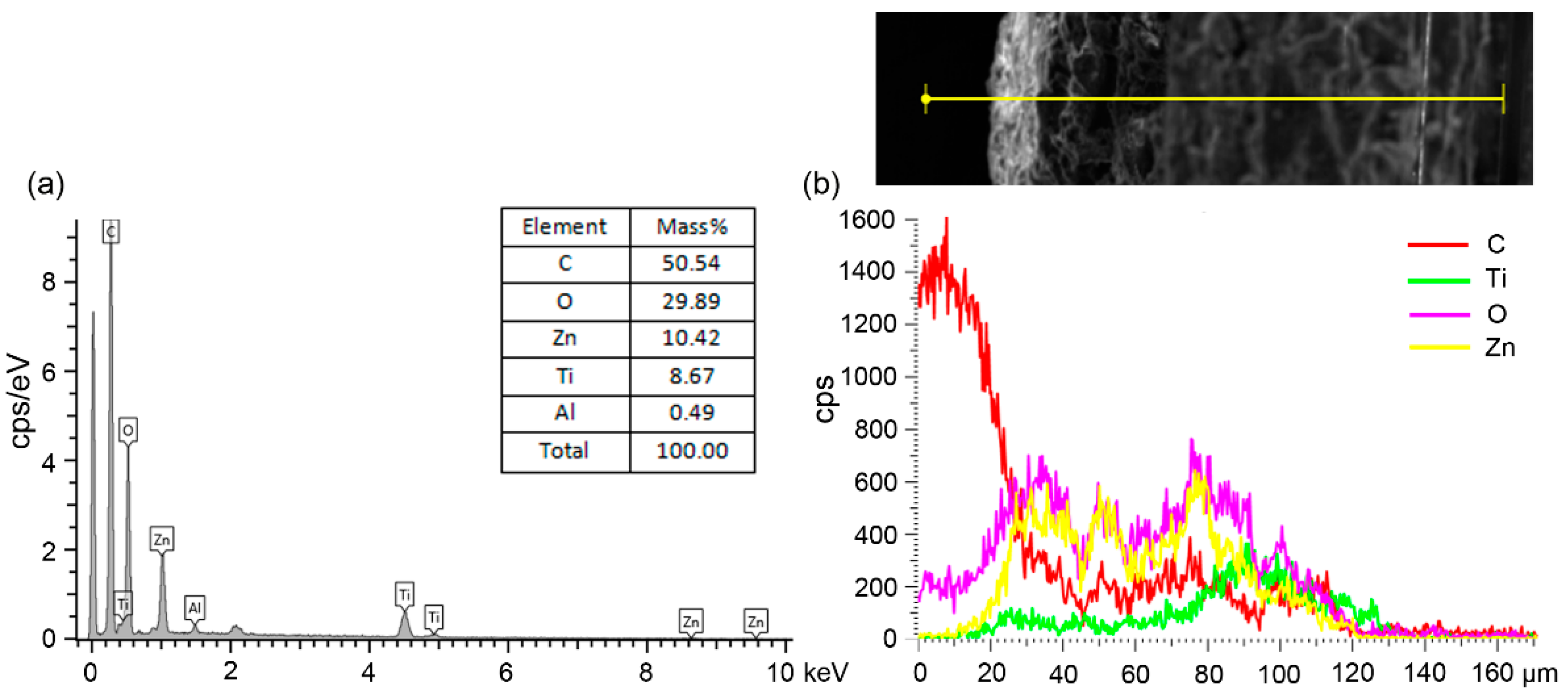 Coatings 08 00341 g003