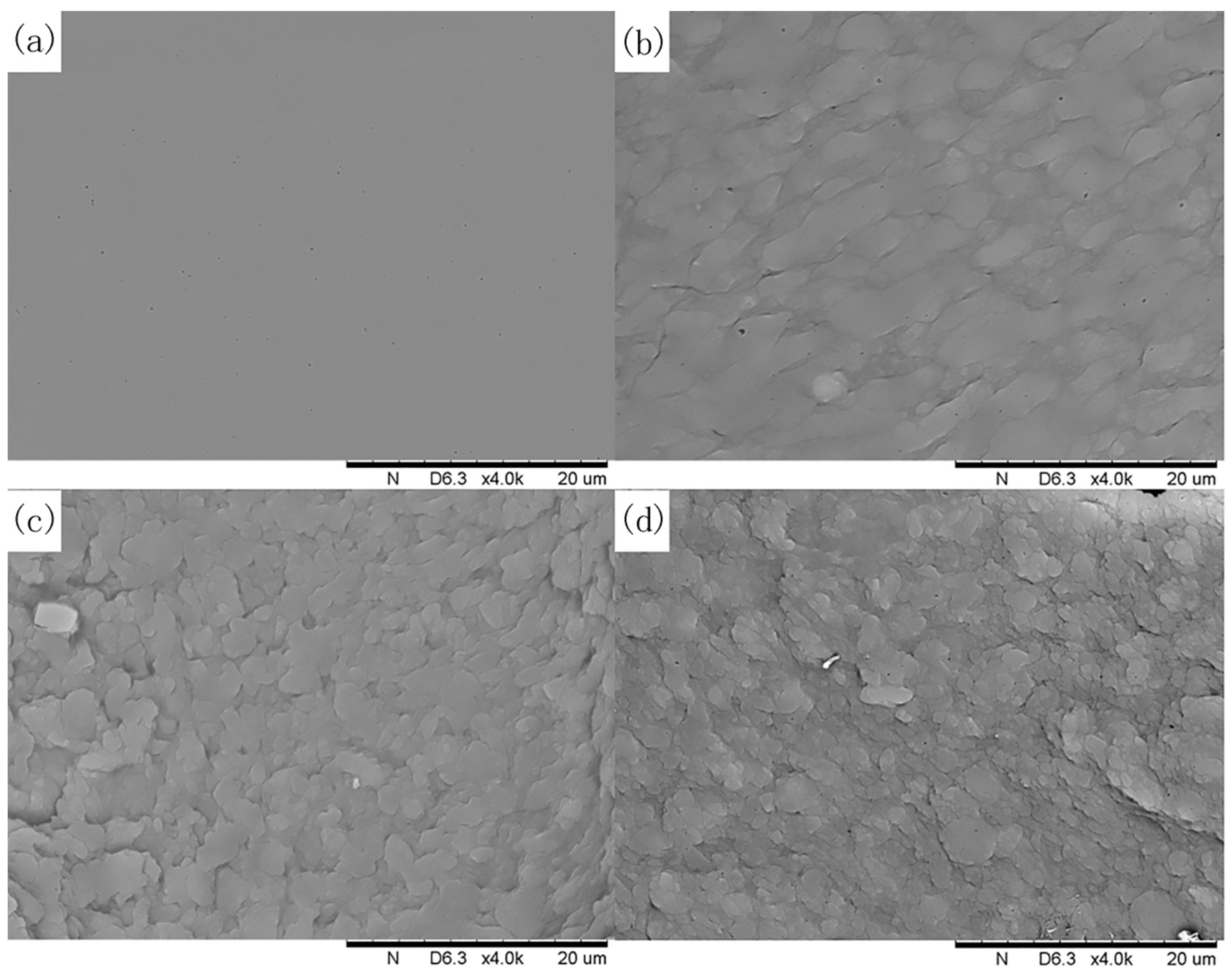 Coatings 08 00342 g005