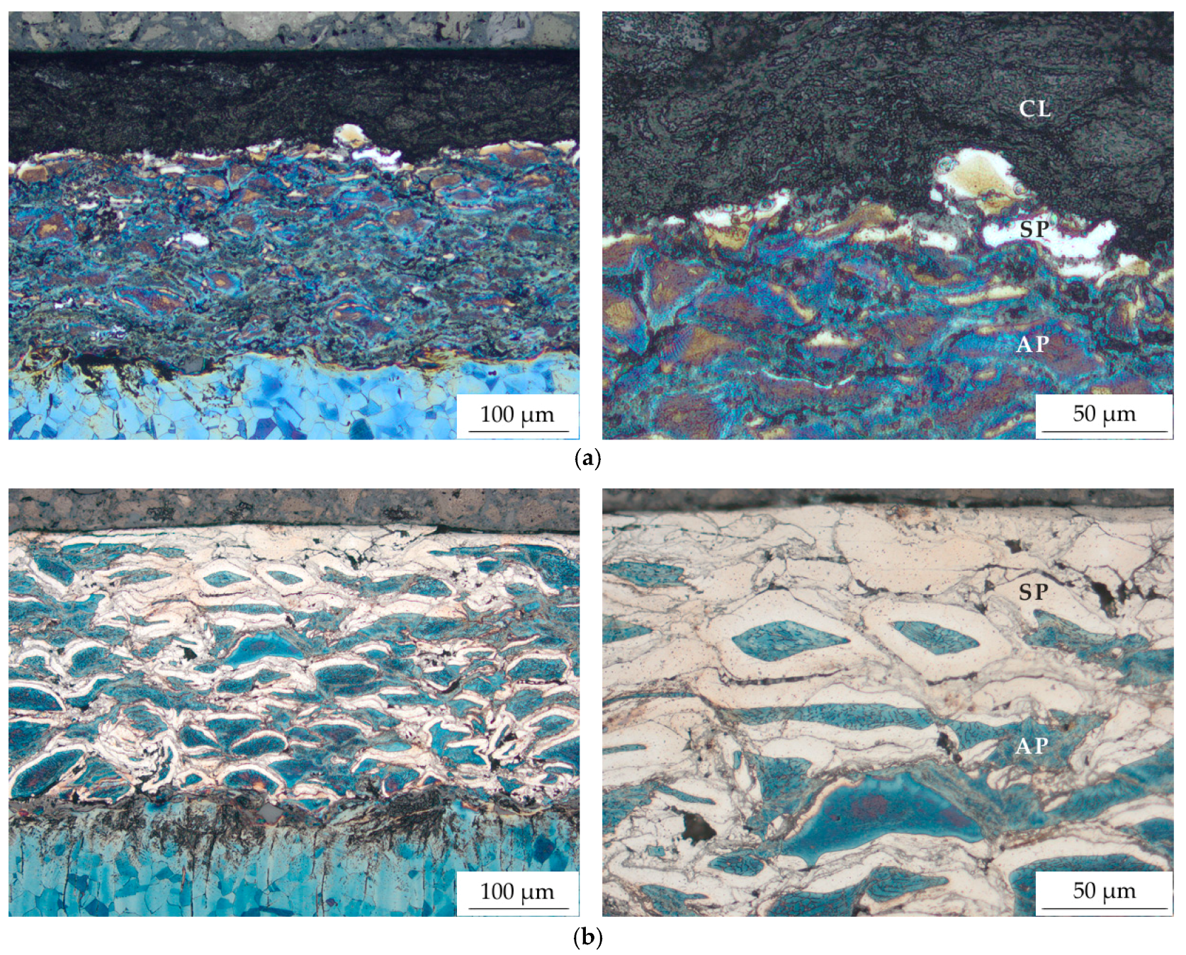Coatings 08 00348 g002