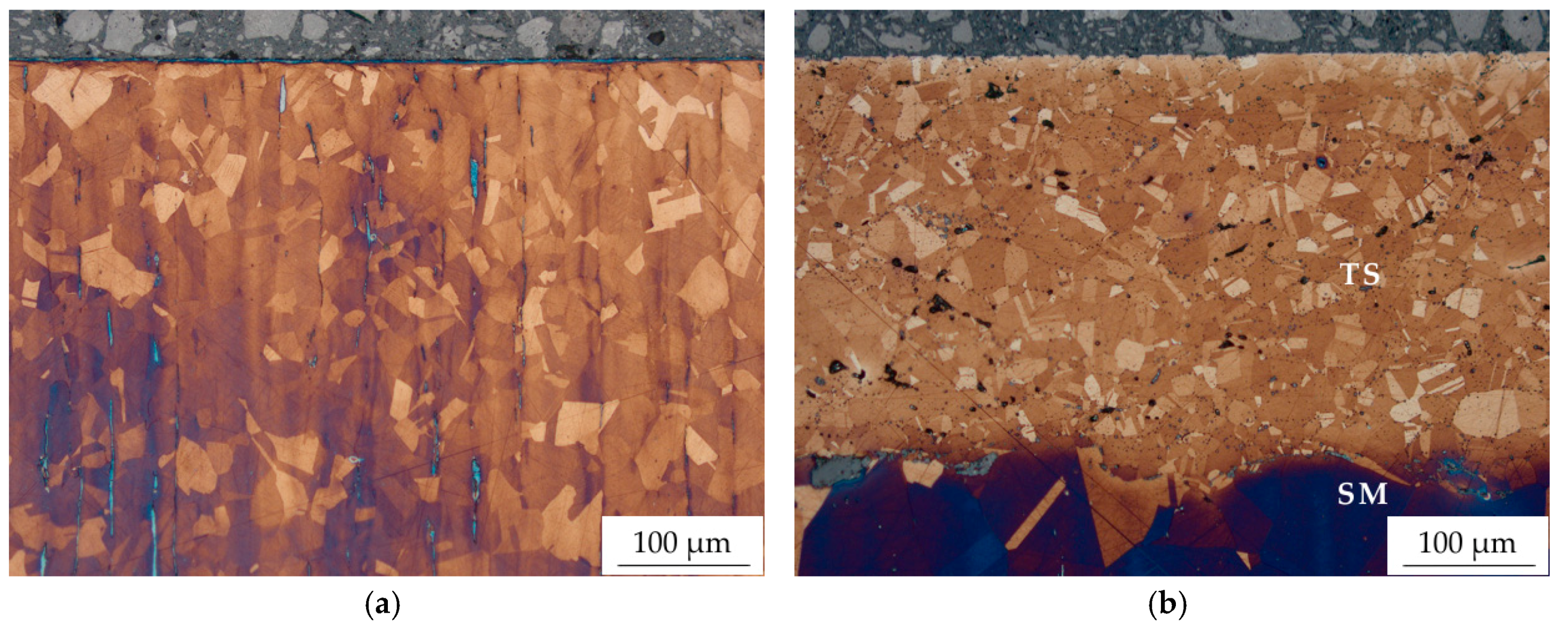 Coatings 08 00348 g003