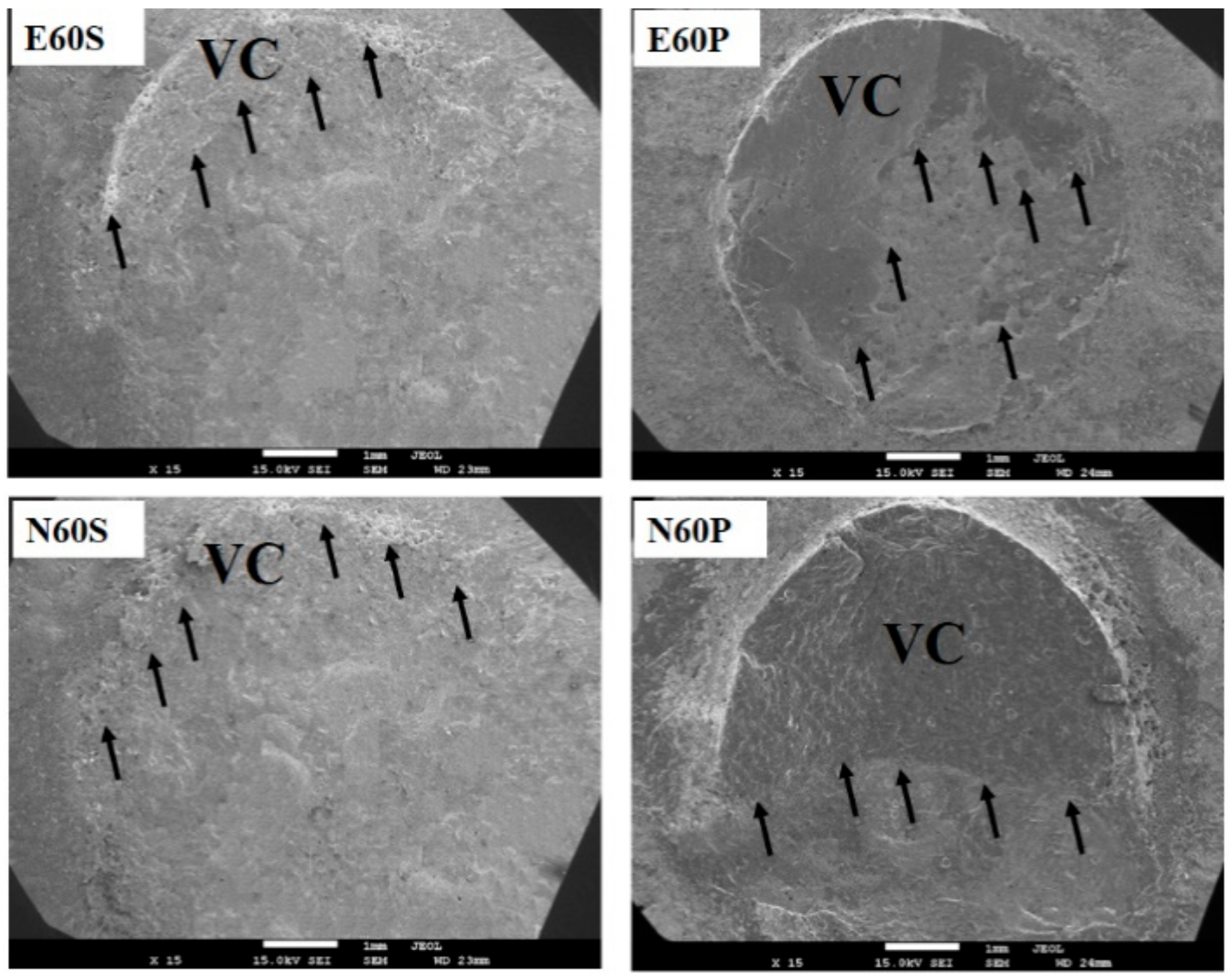 Coatings 08 00363 g010 Coatings 08 00363 g010