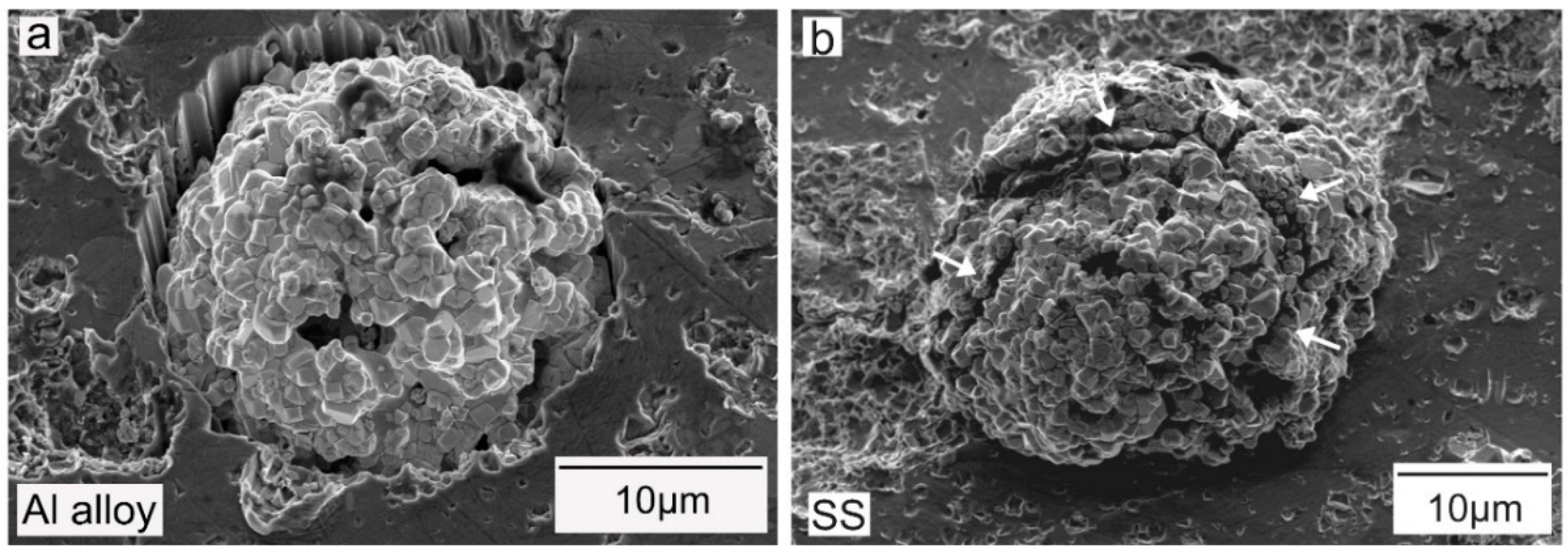 Coatings 08 00367 g003