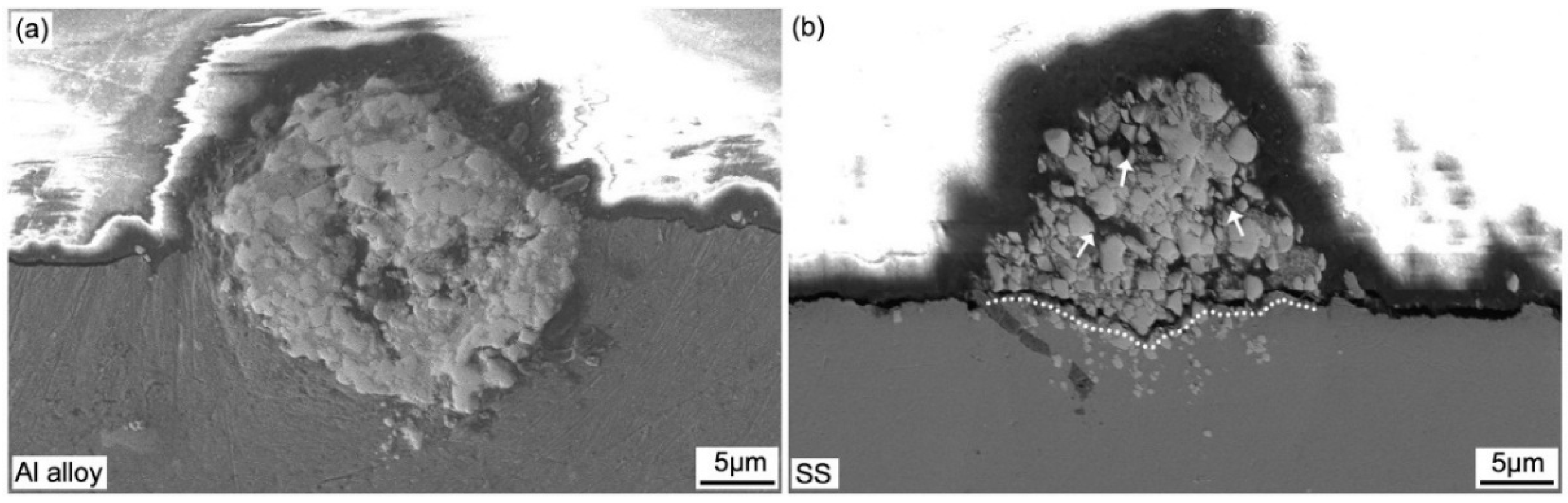 Coatings 08 00367 g004